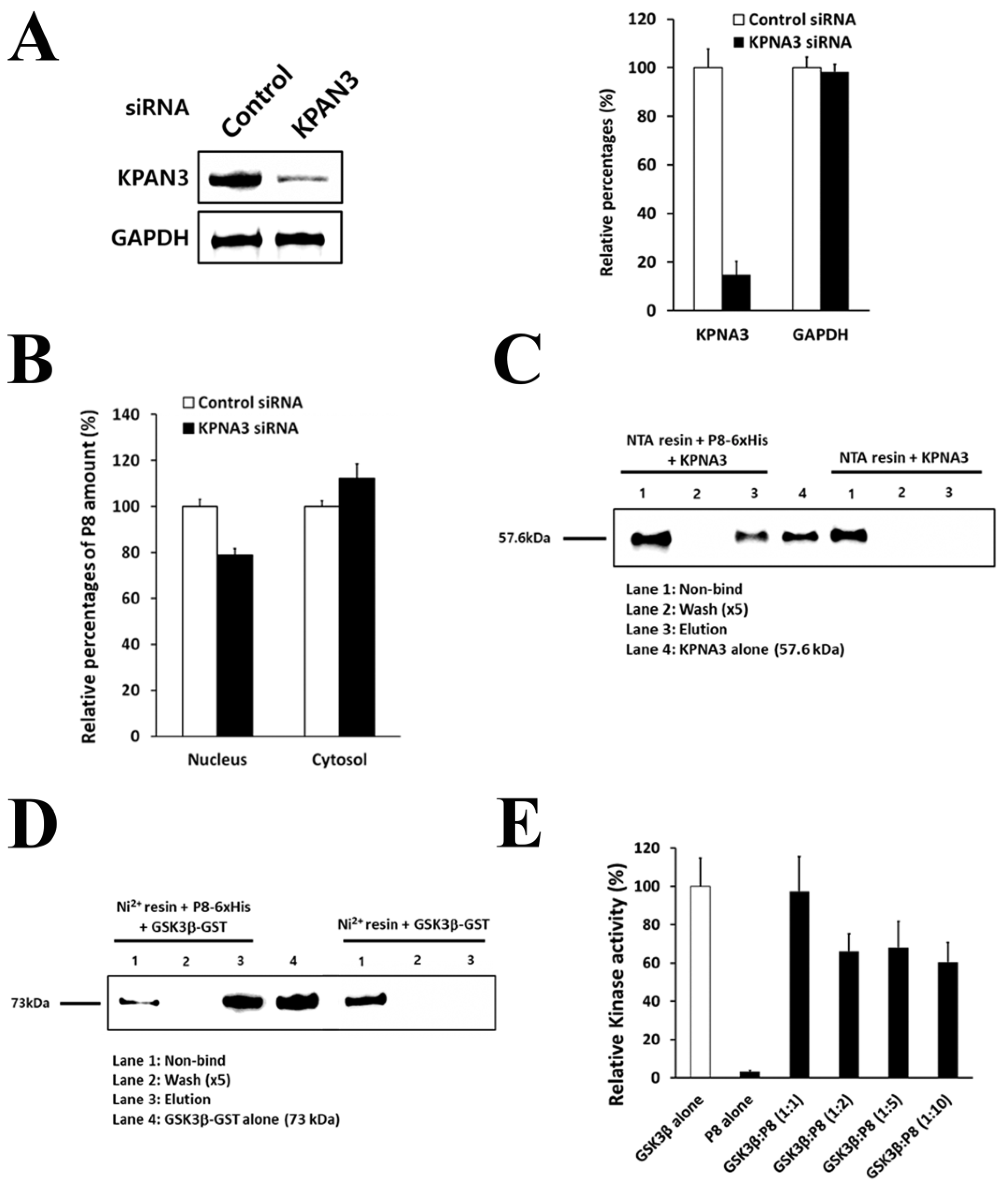 Ijms 24 09857 g003 Ijms 24 09857 g003