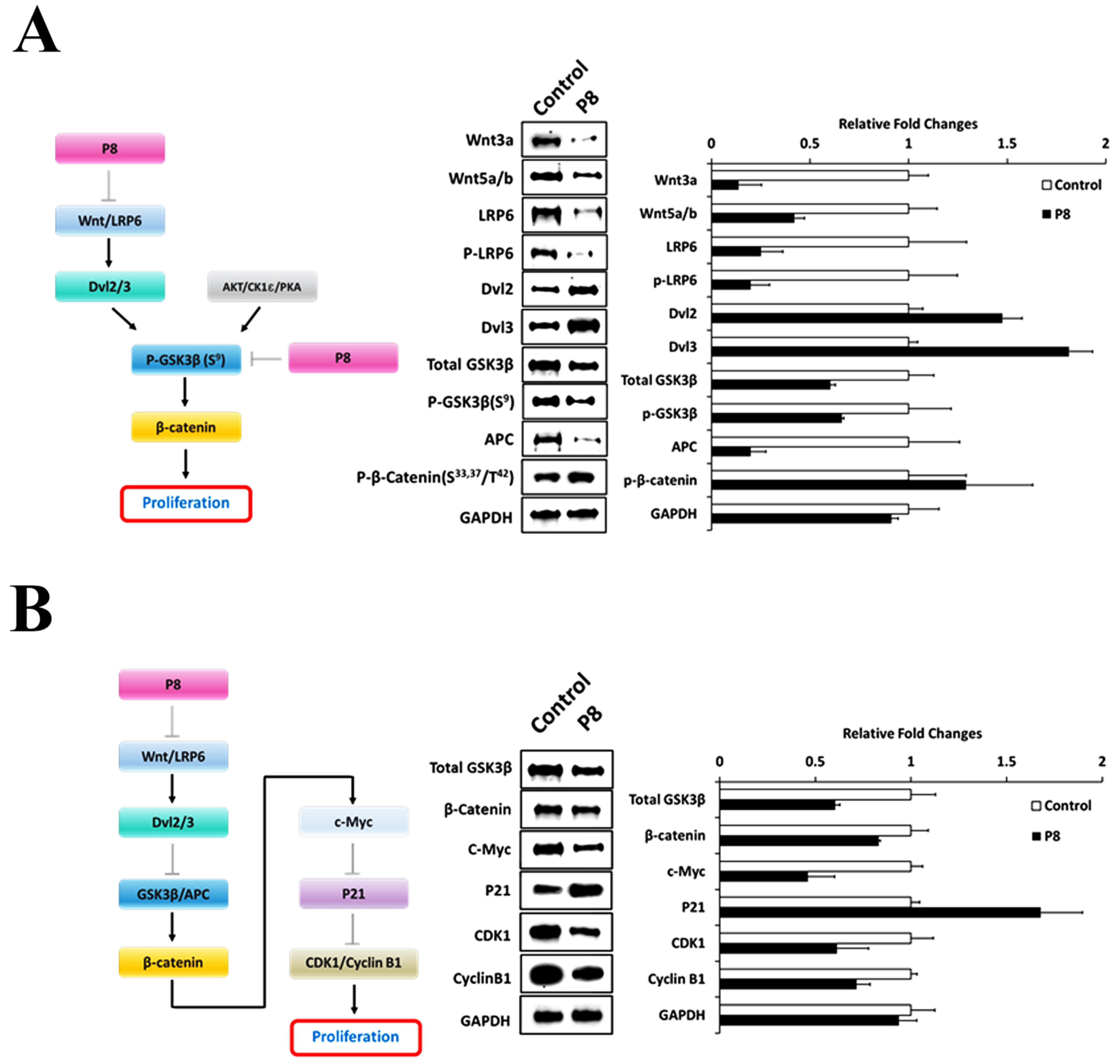 Ijms 24 09857 g004 Ijms 24 09857 g004