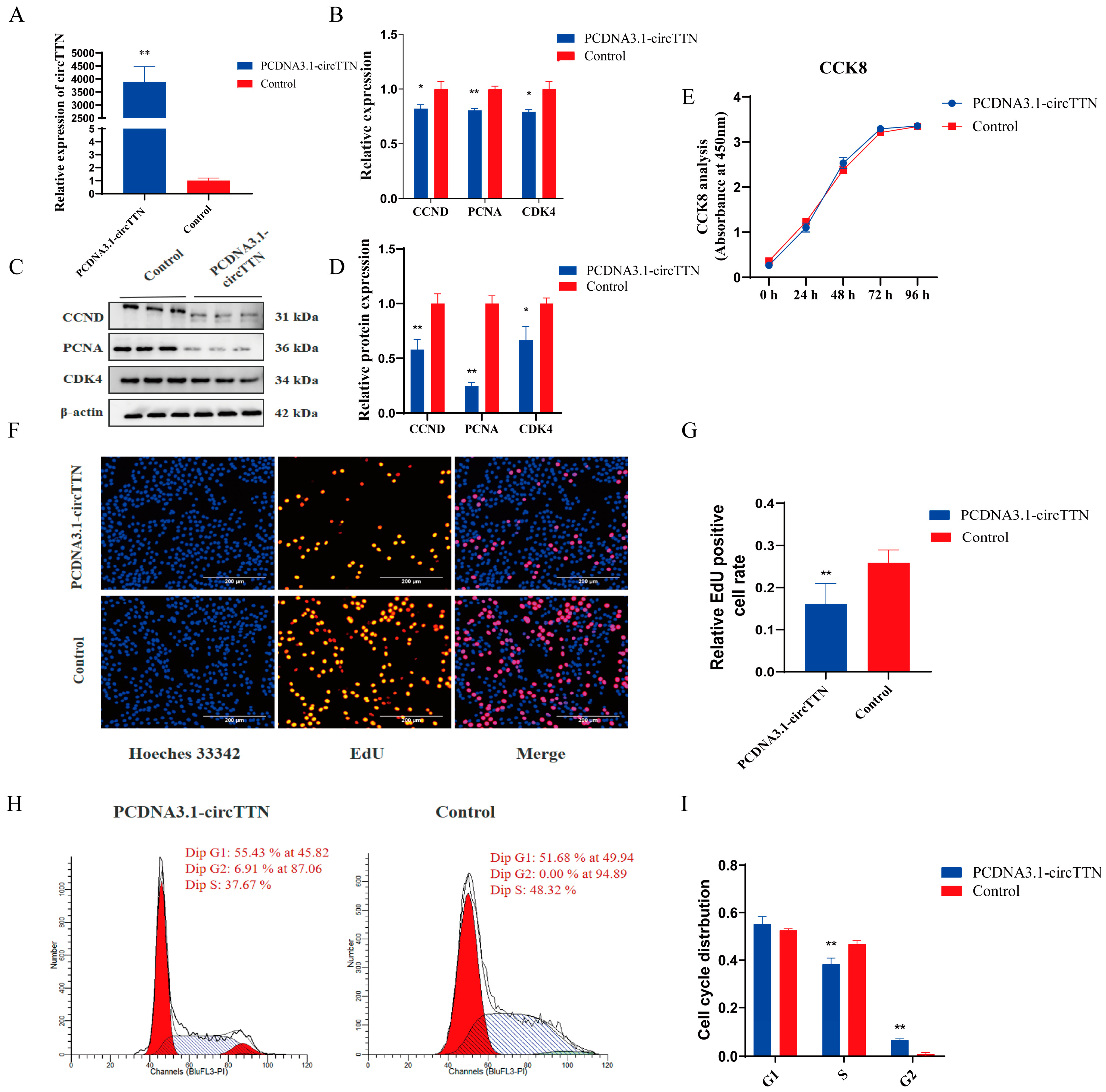 Ijms 24 09859 g002 Ijms 24 09859 g002