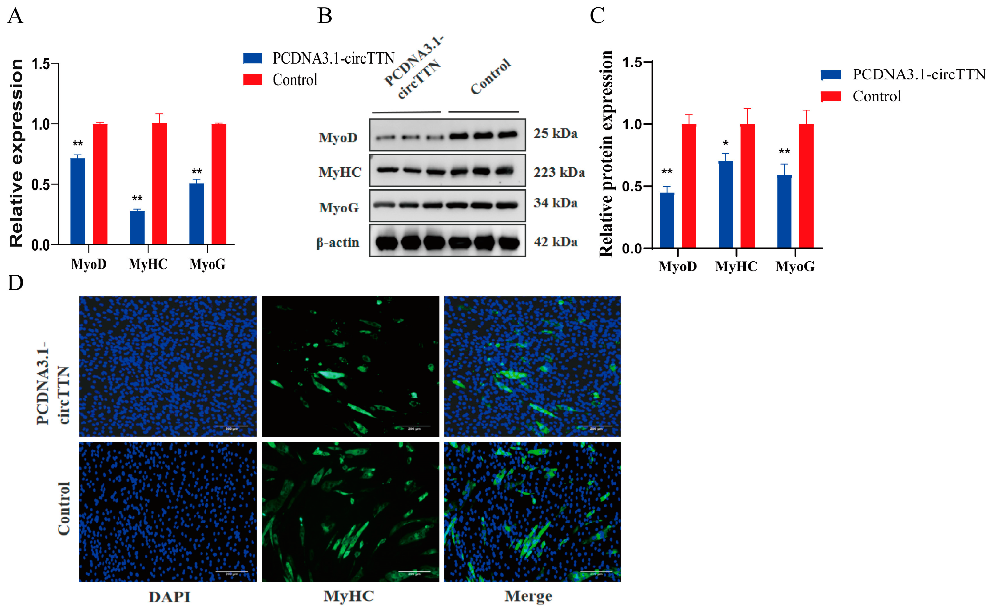 Ijms 24 09859 g003 Ijms 24 09859 g003