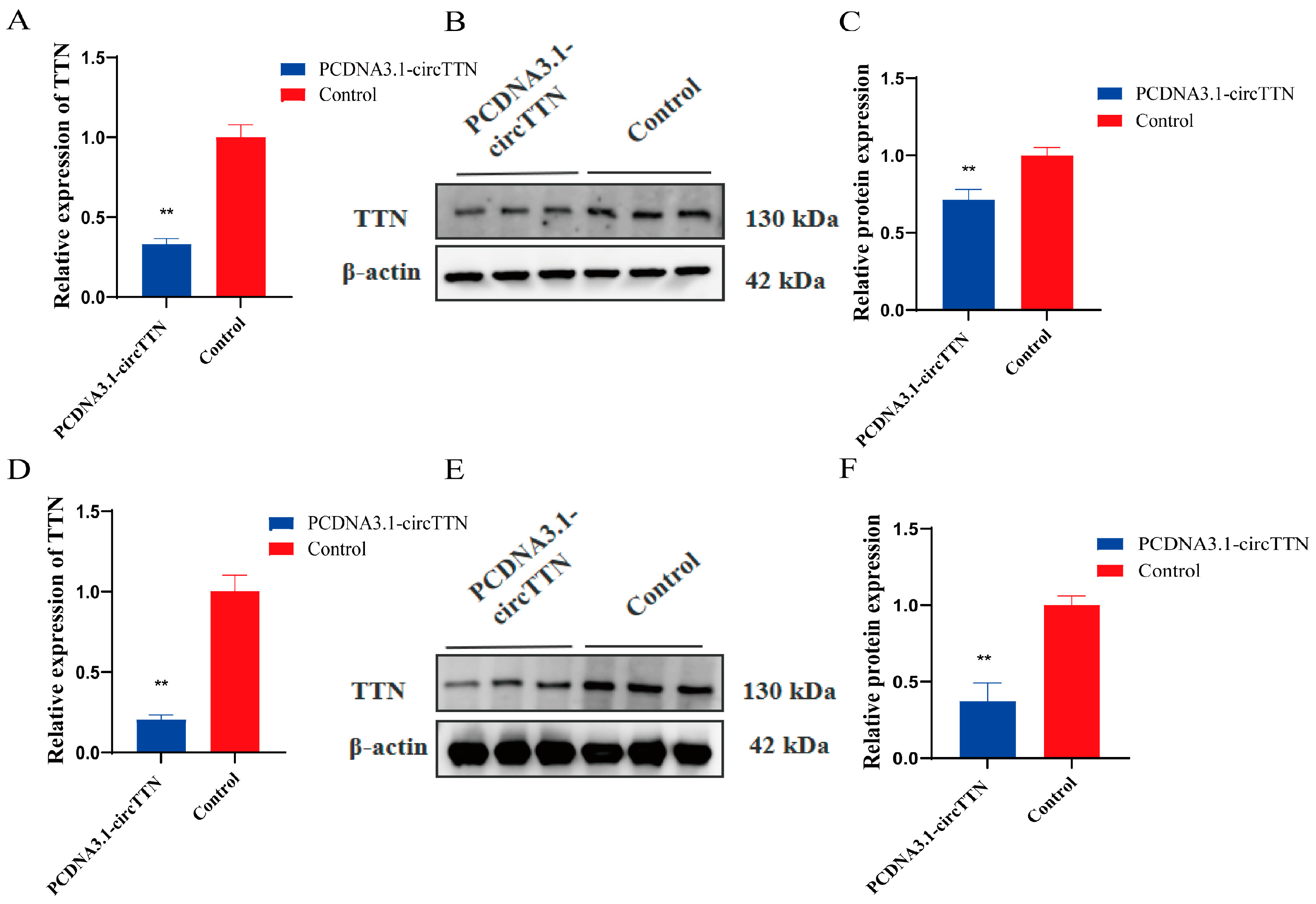 Ijms 24 09859 g004 Ijms 24 09859 g004