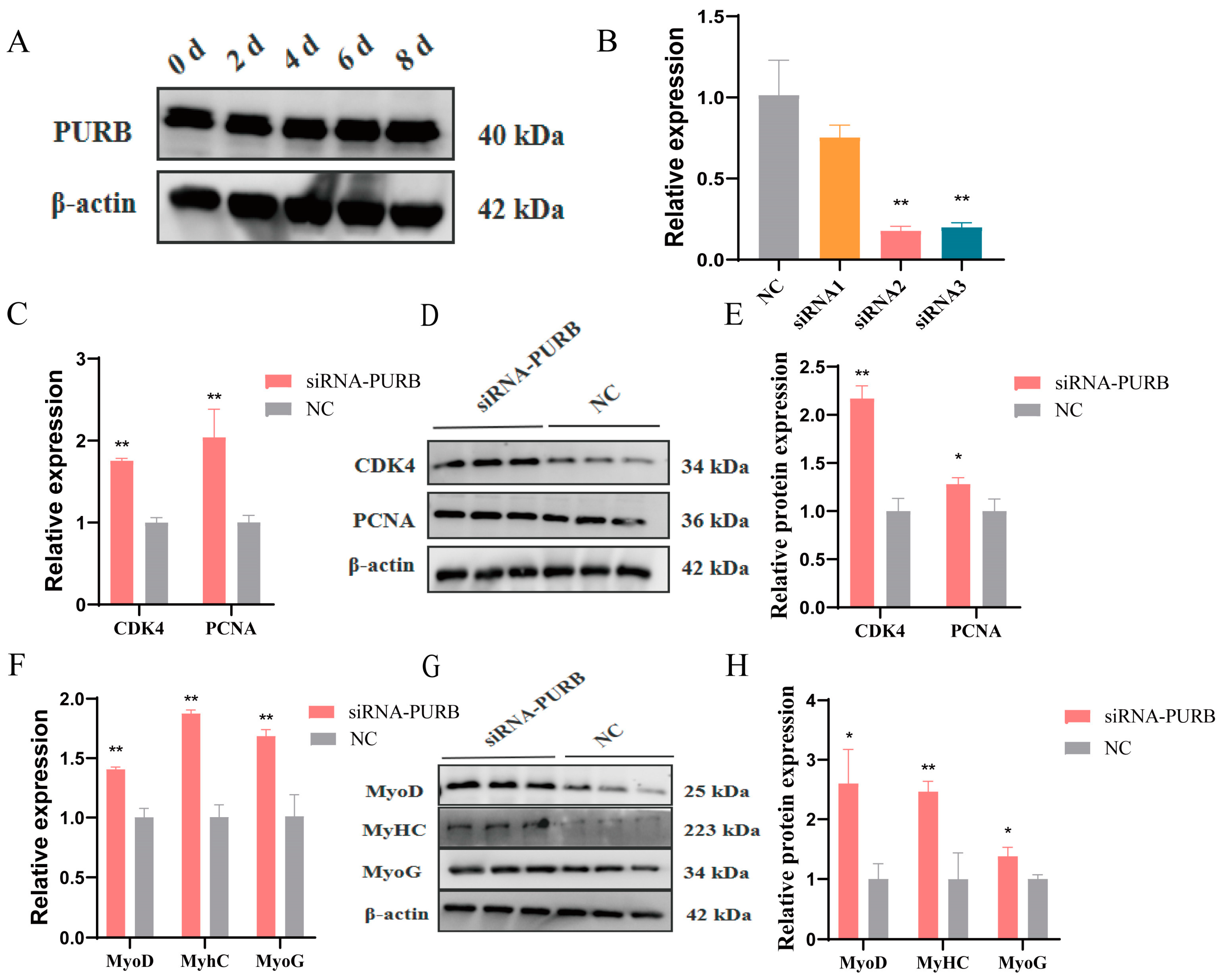 Ijms 24 09859 g006 Ijms 24 09859 g006