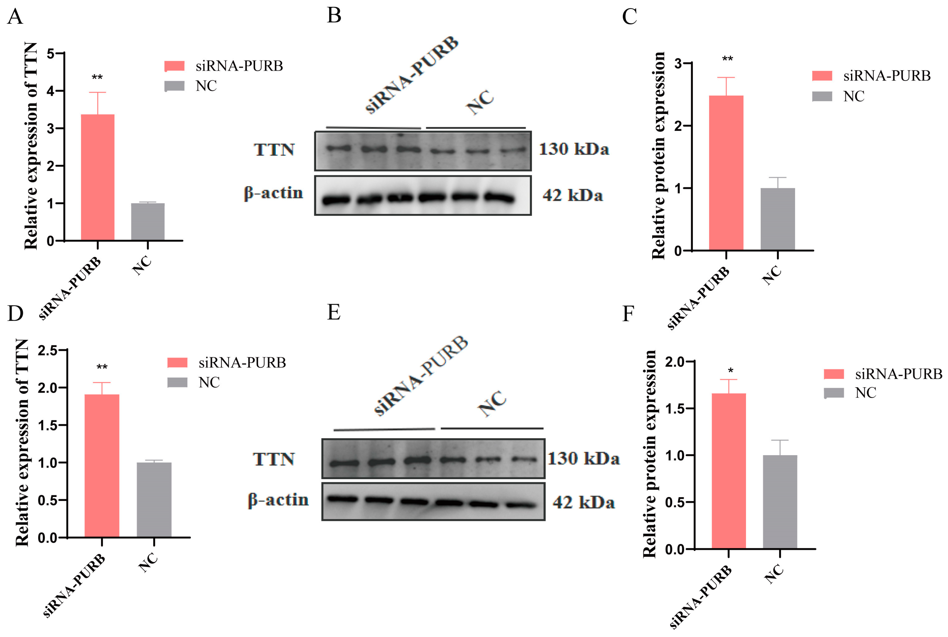 Ijms 24 09859 g007 Ijms 24 09859 g007