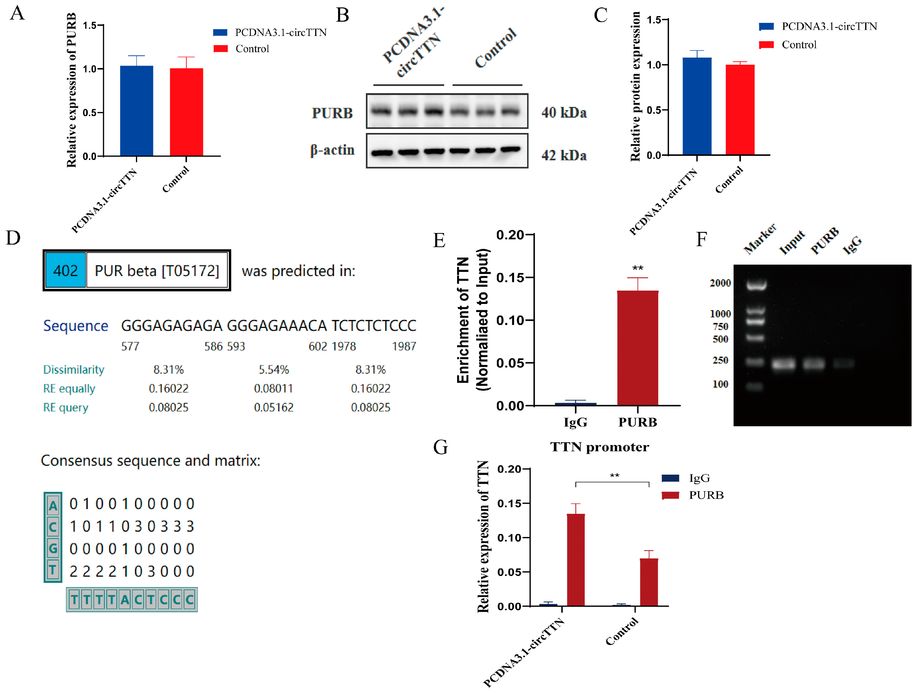 Ijms 24 09859 g008 Ijms 24 09859 g008