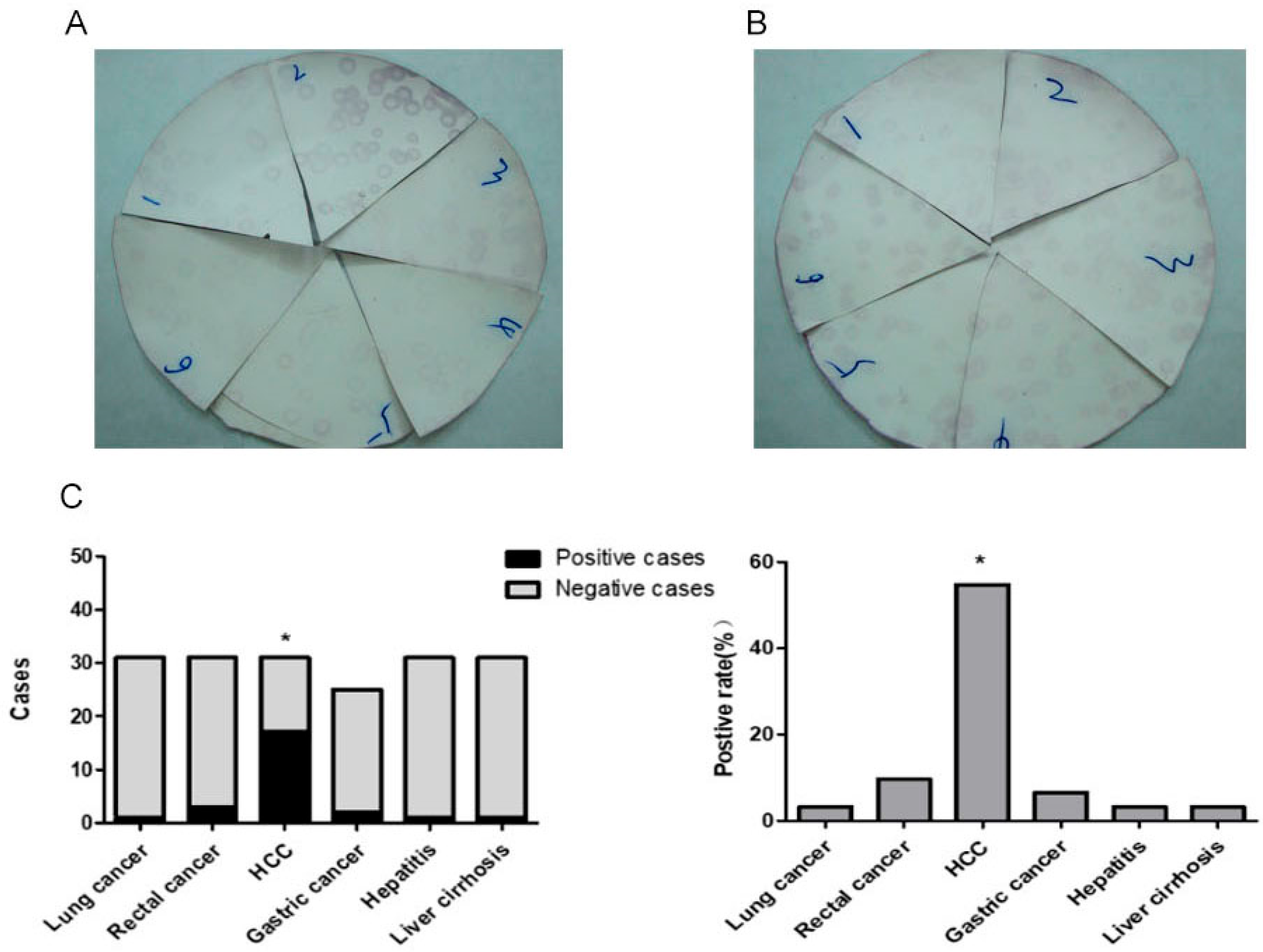 Ijms 24 09864 g001 Ijms 24 09864 g001