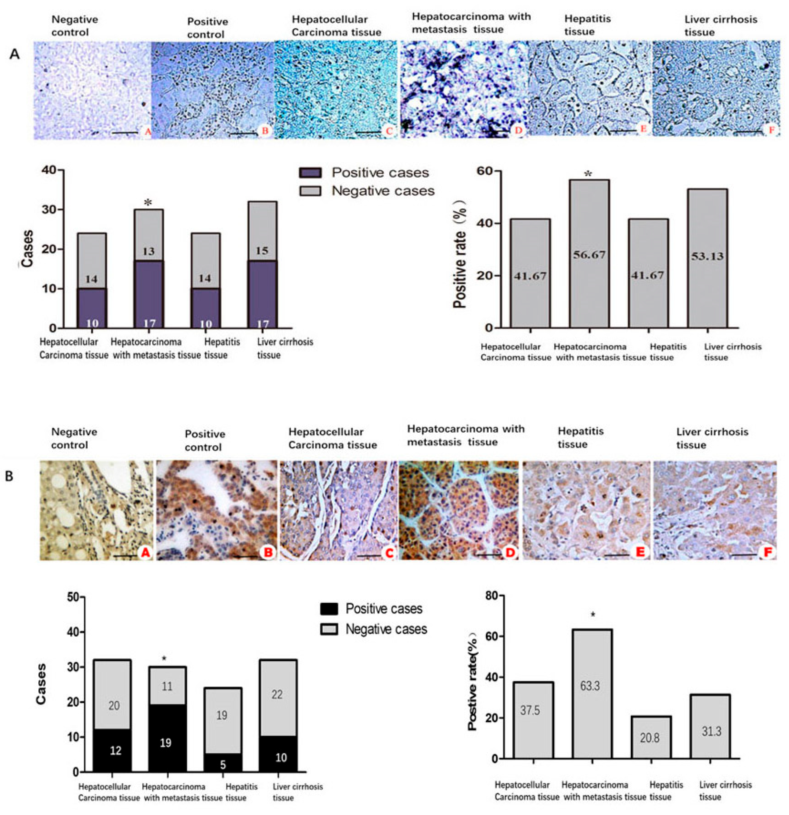 Ijms 24 09864 g005 Ijms 24 09864 g005