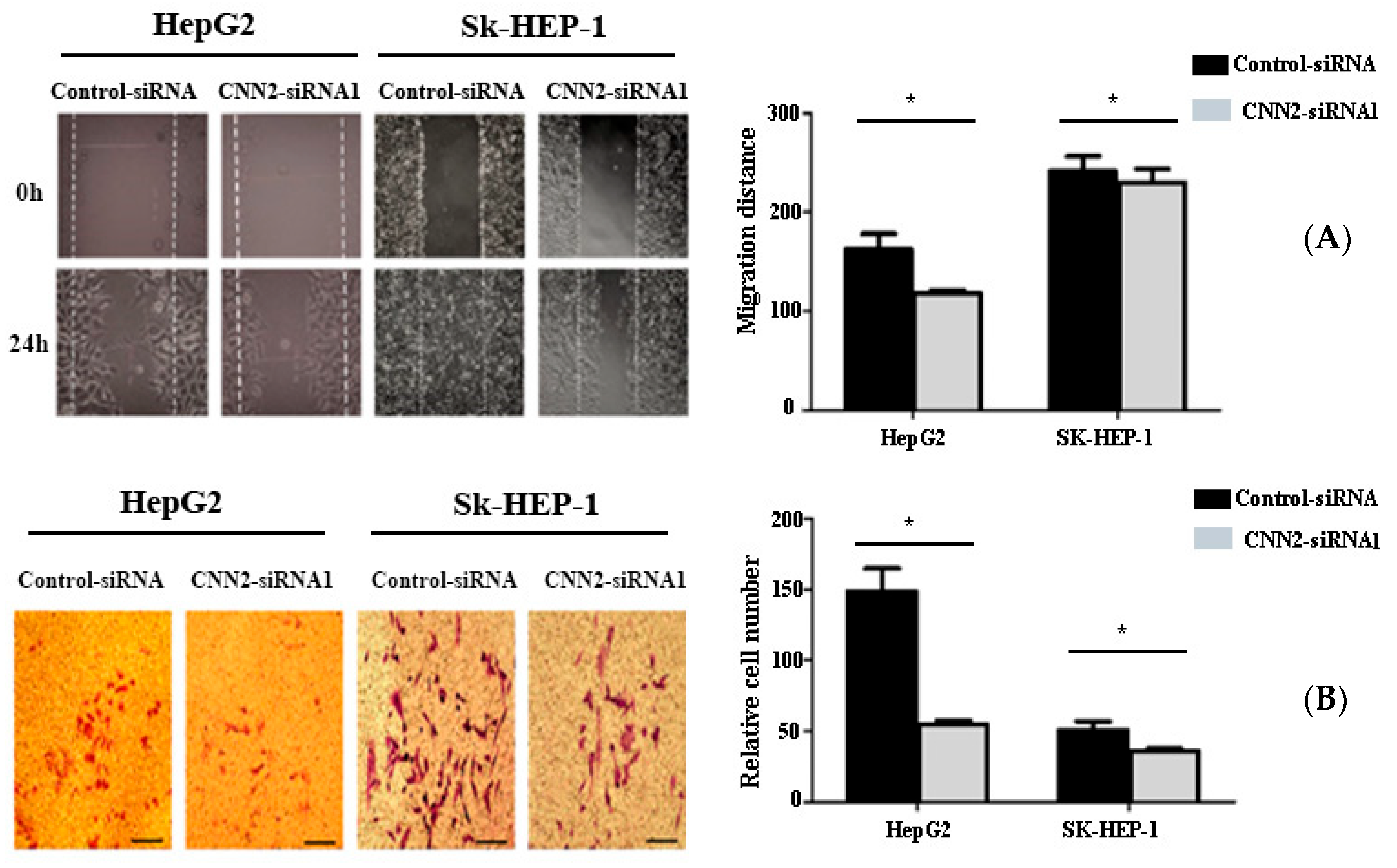 Ijms 24 09864 g007 Ijms 24 09864 g007
