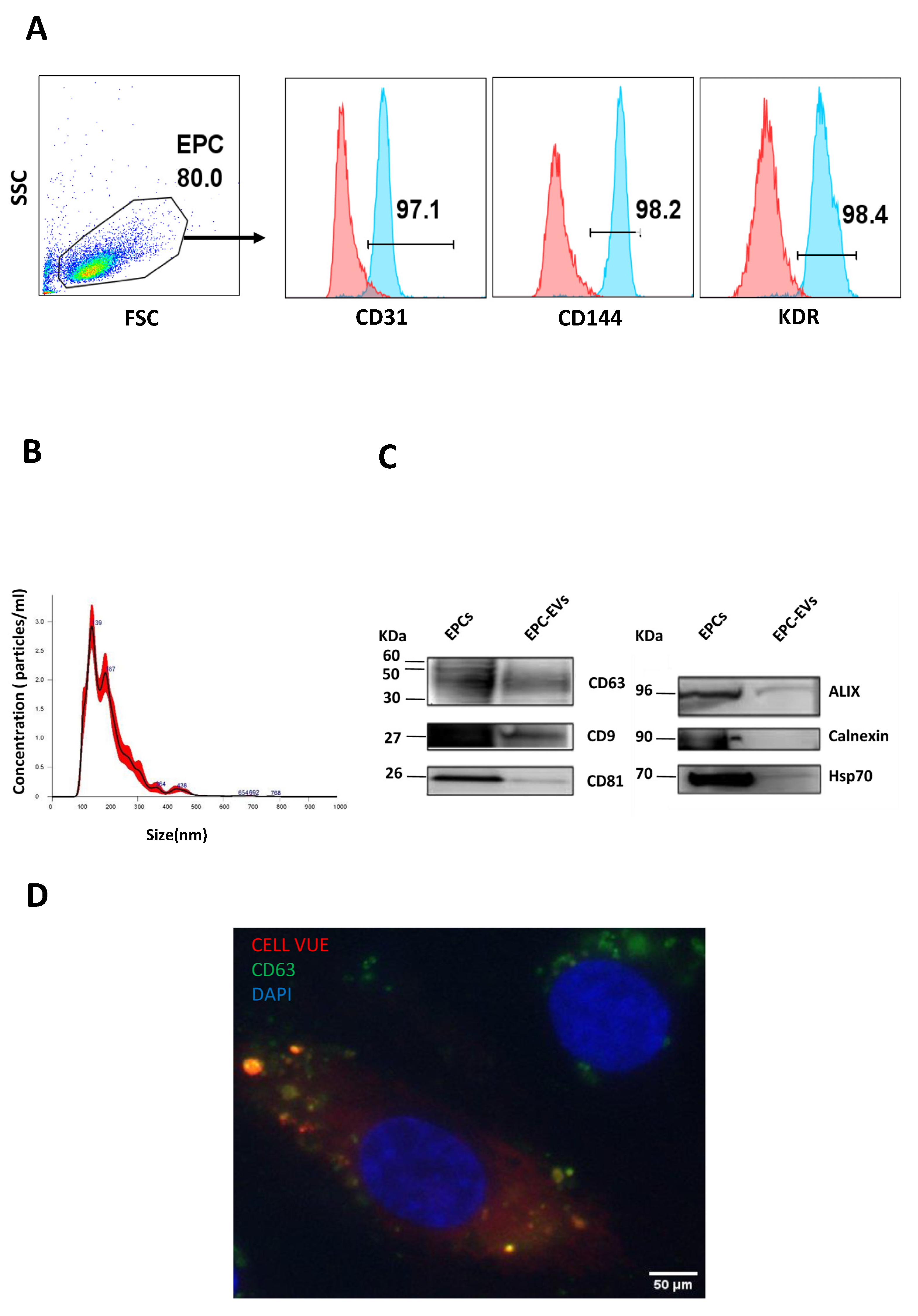 Ijms 24 09866 g001 Ijms 24 09866 g001