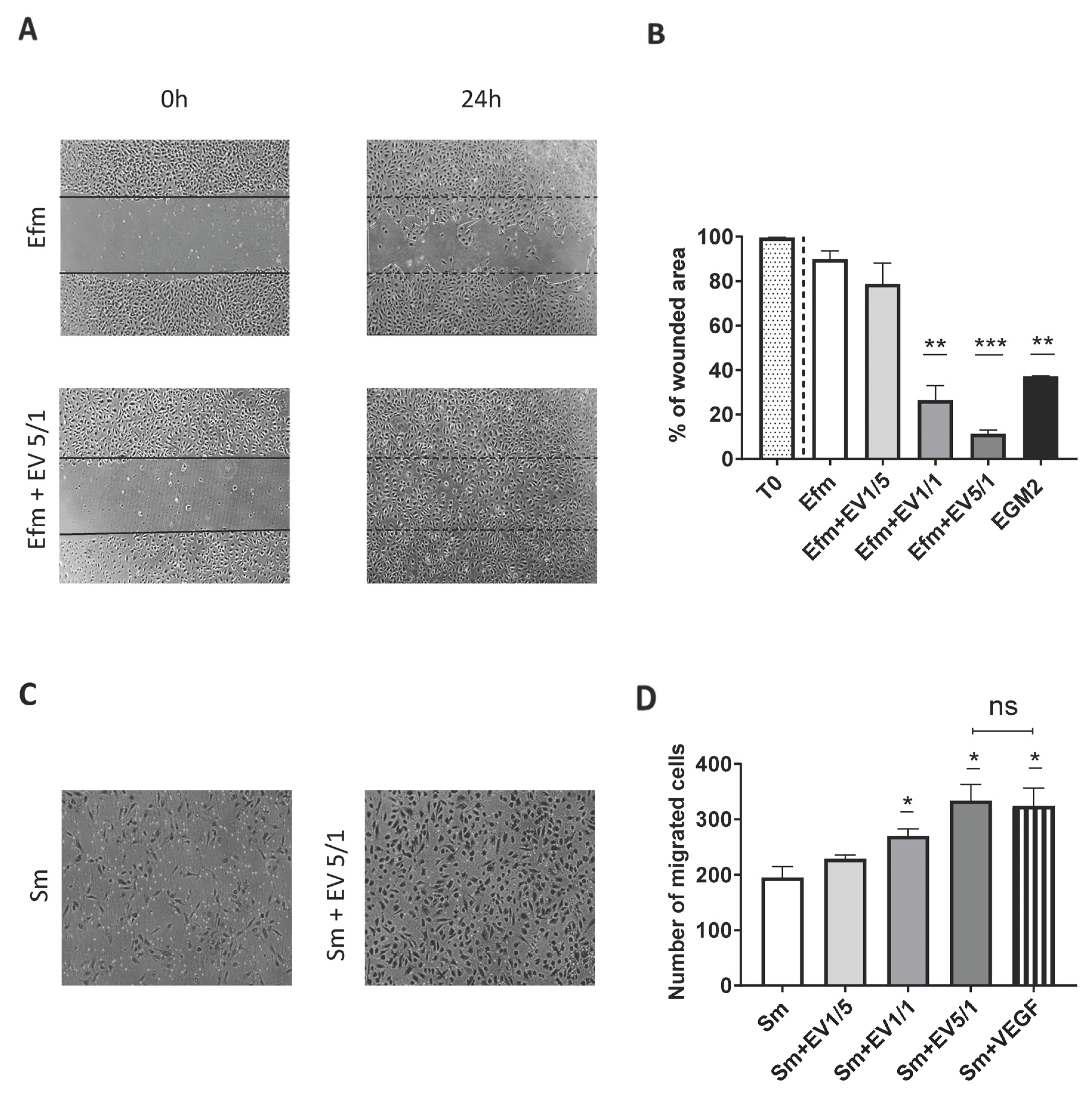 Ijms 24 09866 g004 Ijms 24 09866 g004