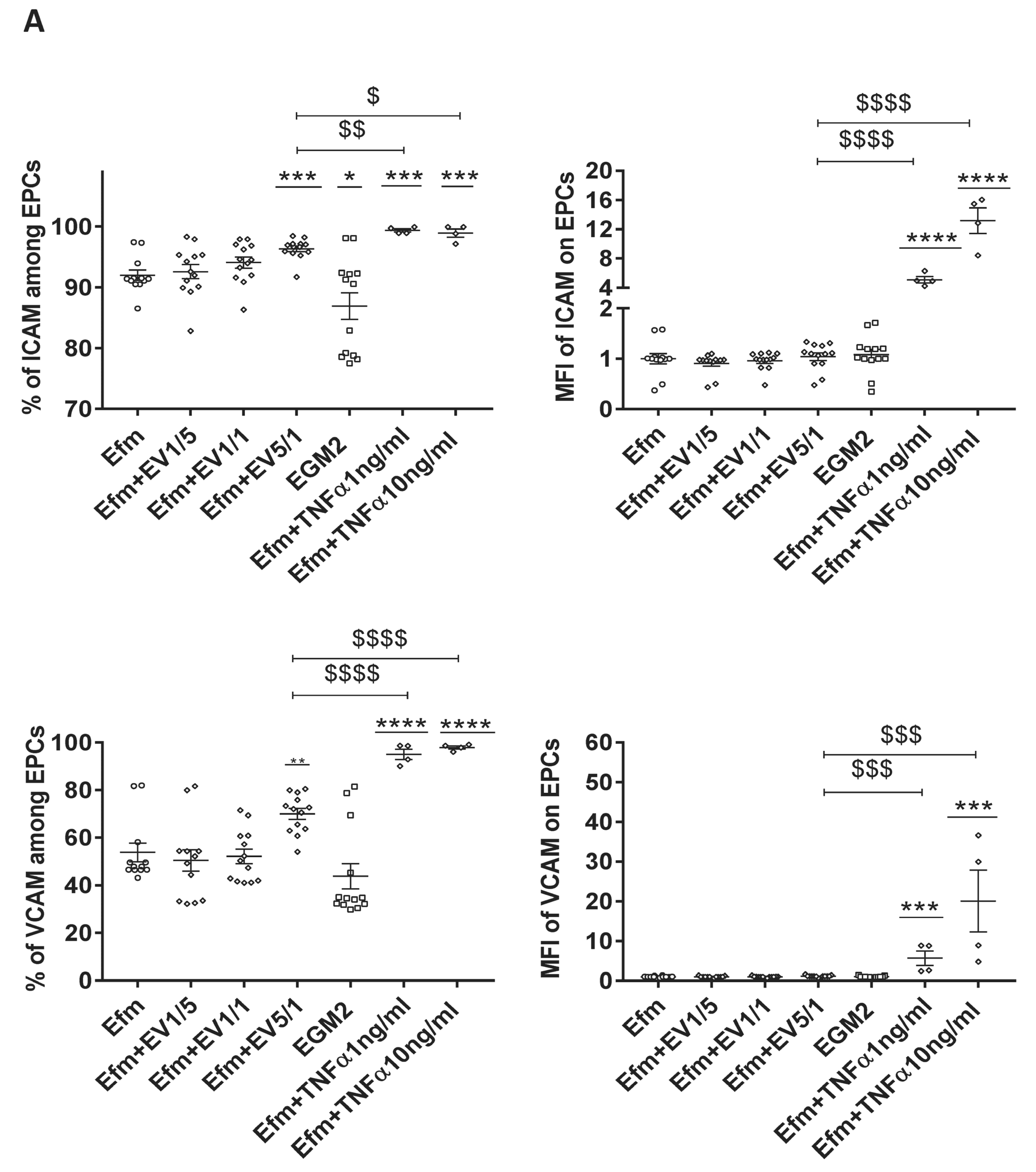 Ijms 24 09866 g006a Ijms 24 09866 g006a