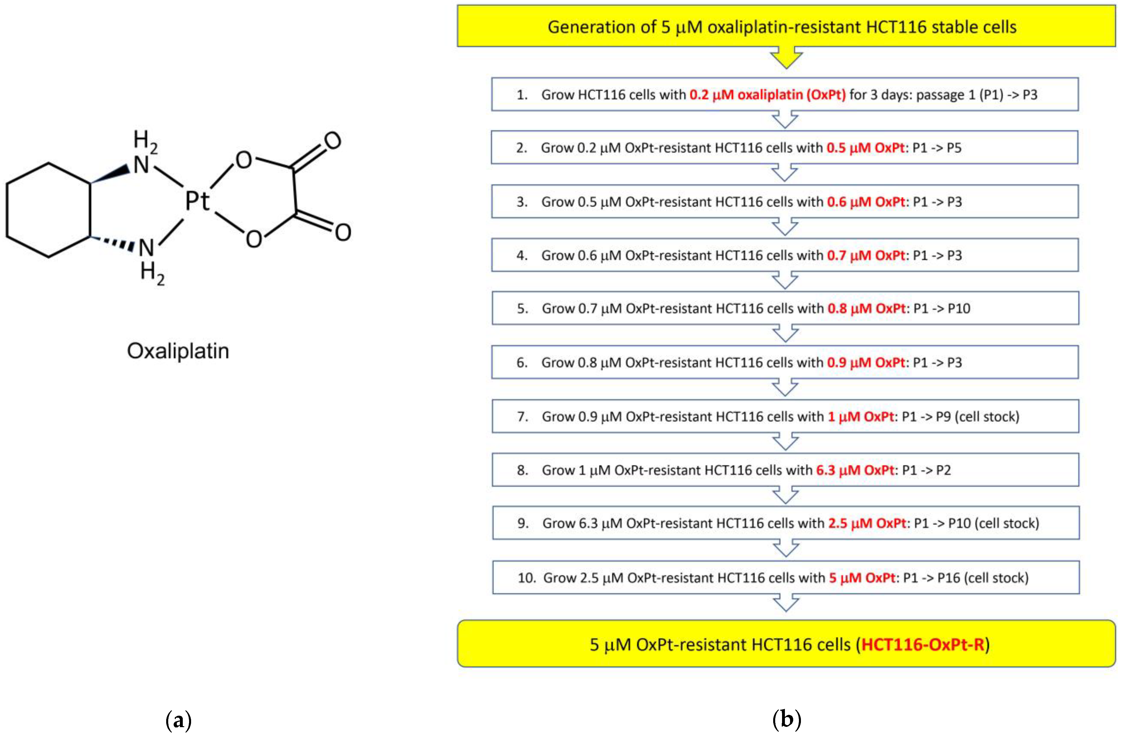 Ijms 24 09867 g001a Ijms 24 09867 g001a