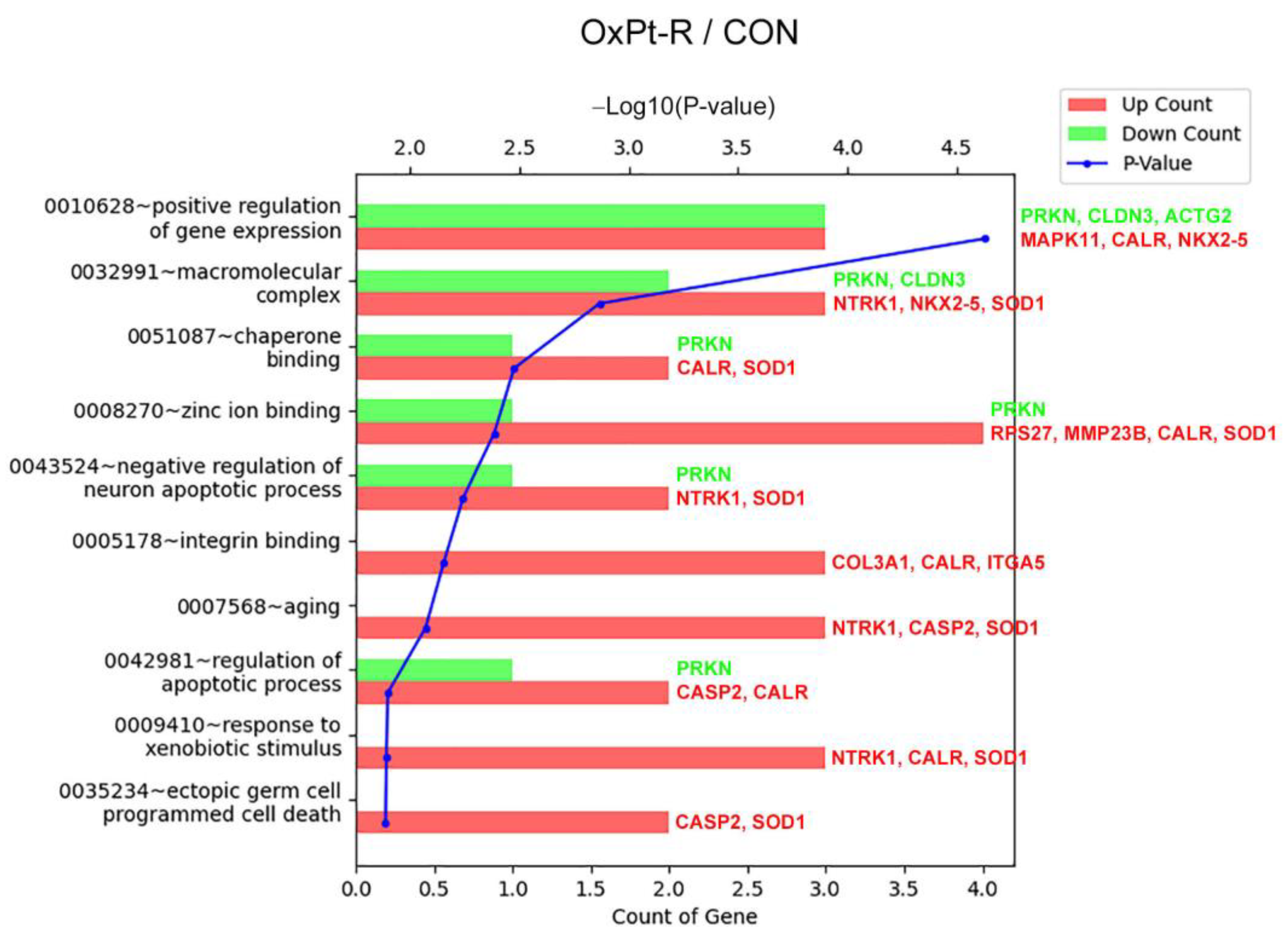Ijms 24 09867 g007 Ijms 24 09867 g007