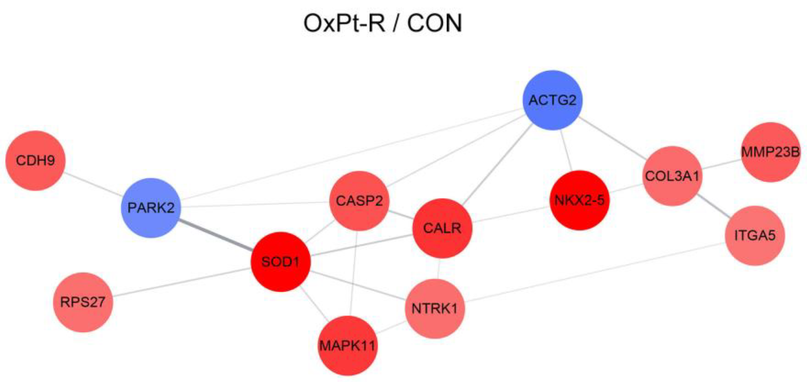 Ijms 24 09867 g008 Ijms 24 09867 g008