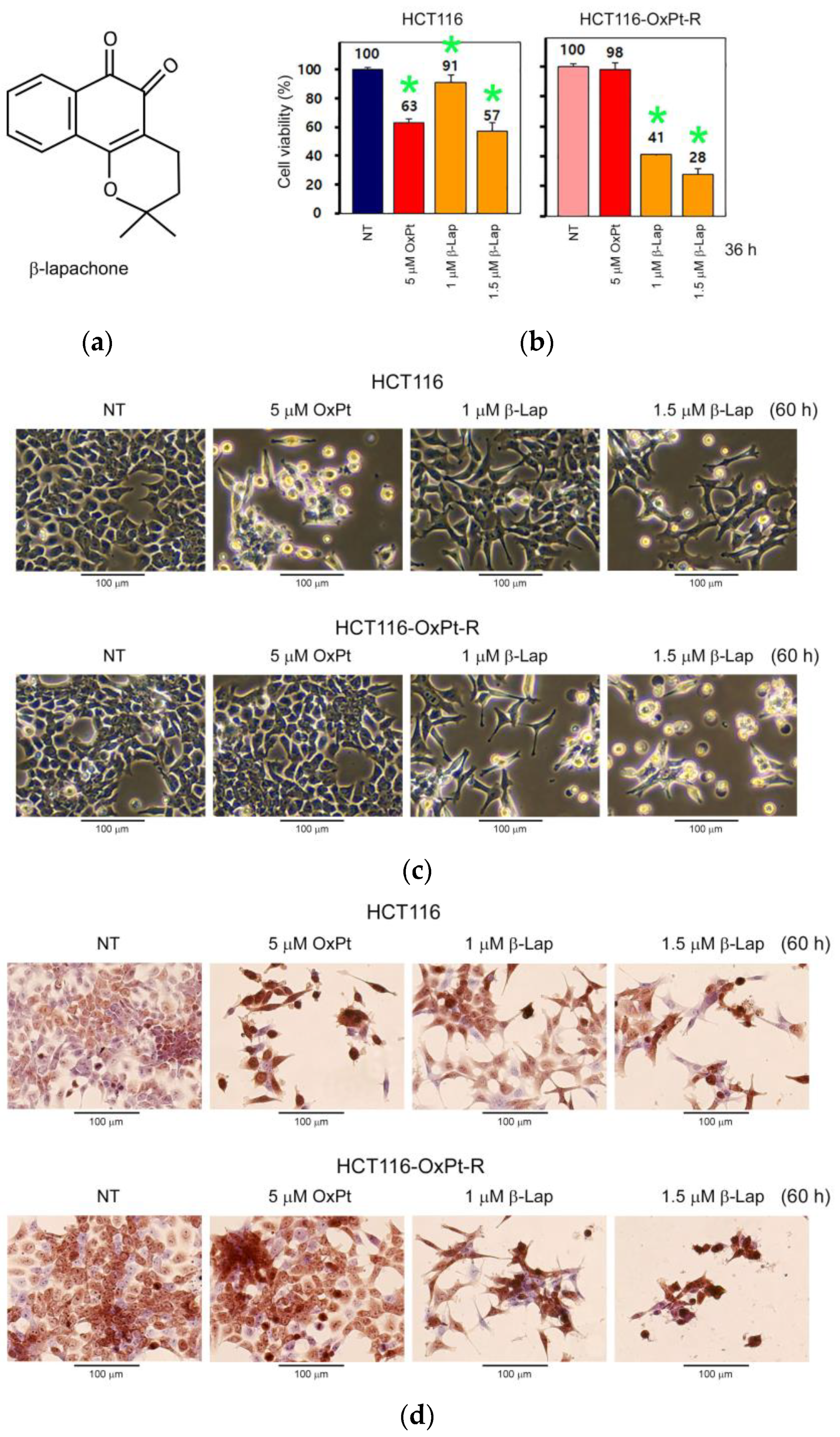 Ijms 24 09867 g009 Ijms 24 09867 g009