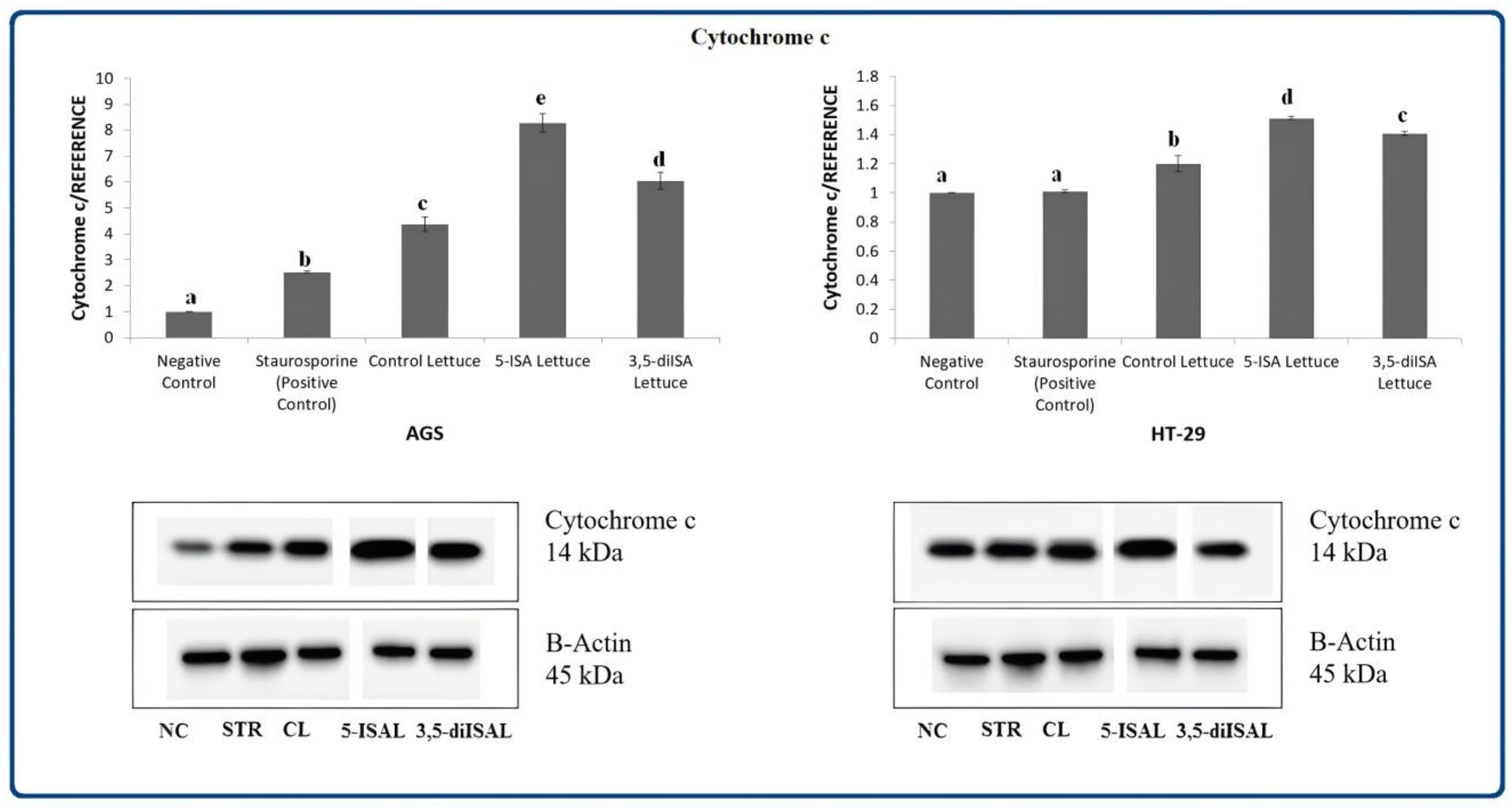 Ijms 24 09869 g003 Ijms 24 09869 g003