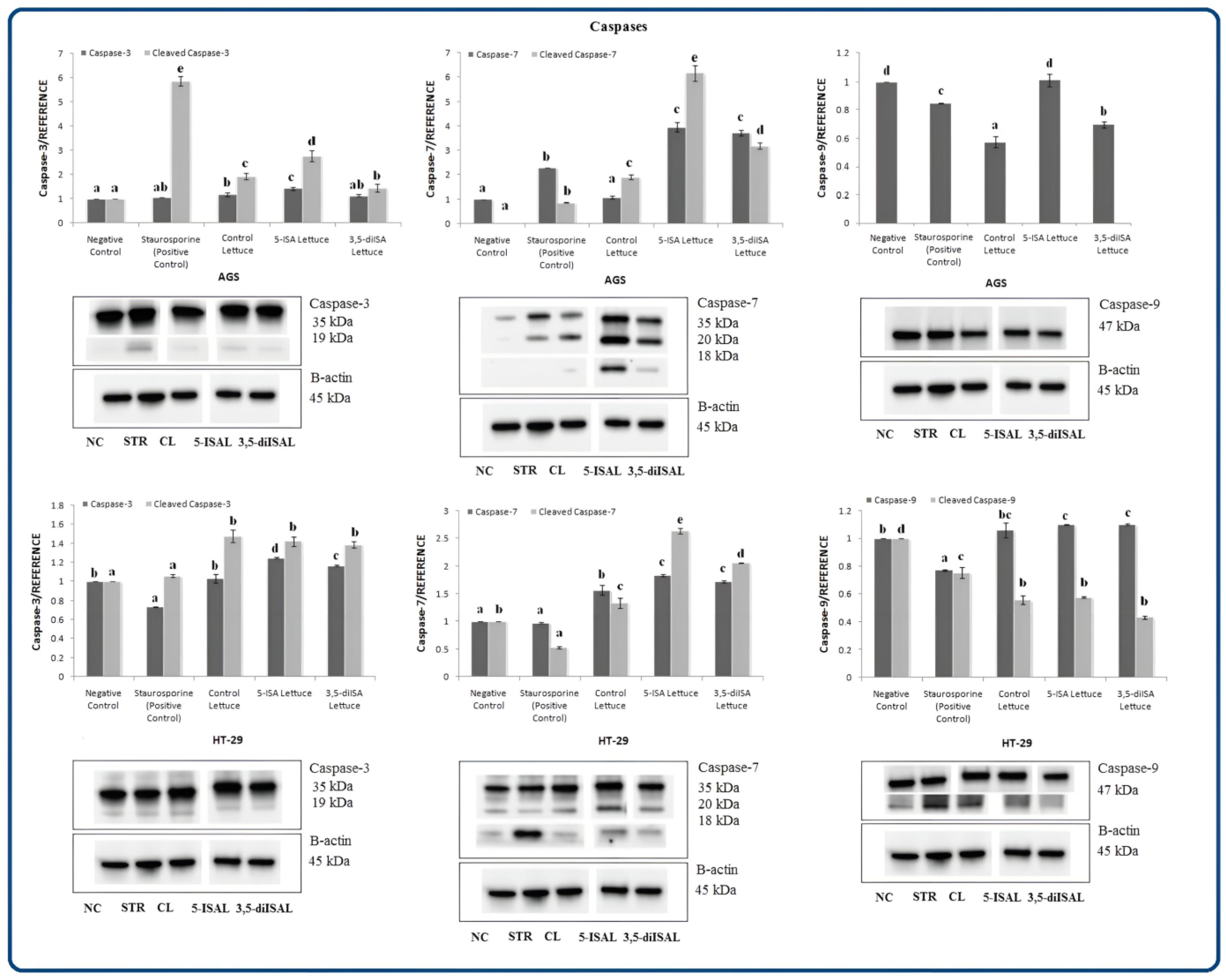 Ijms 24 09869 g004 Ijms 24 09869 g004