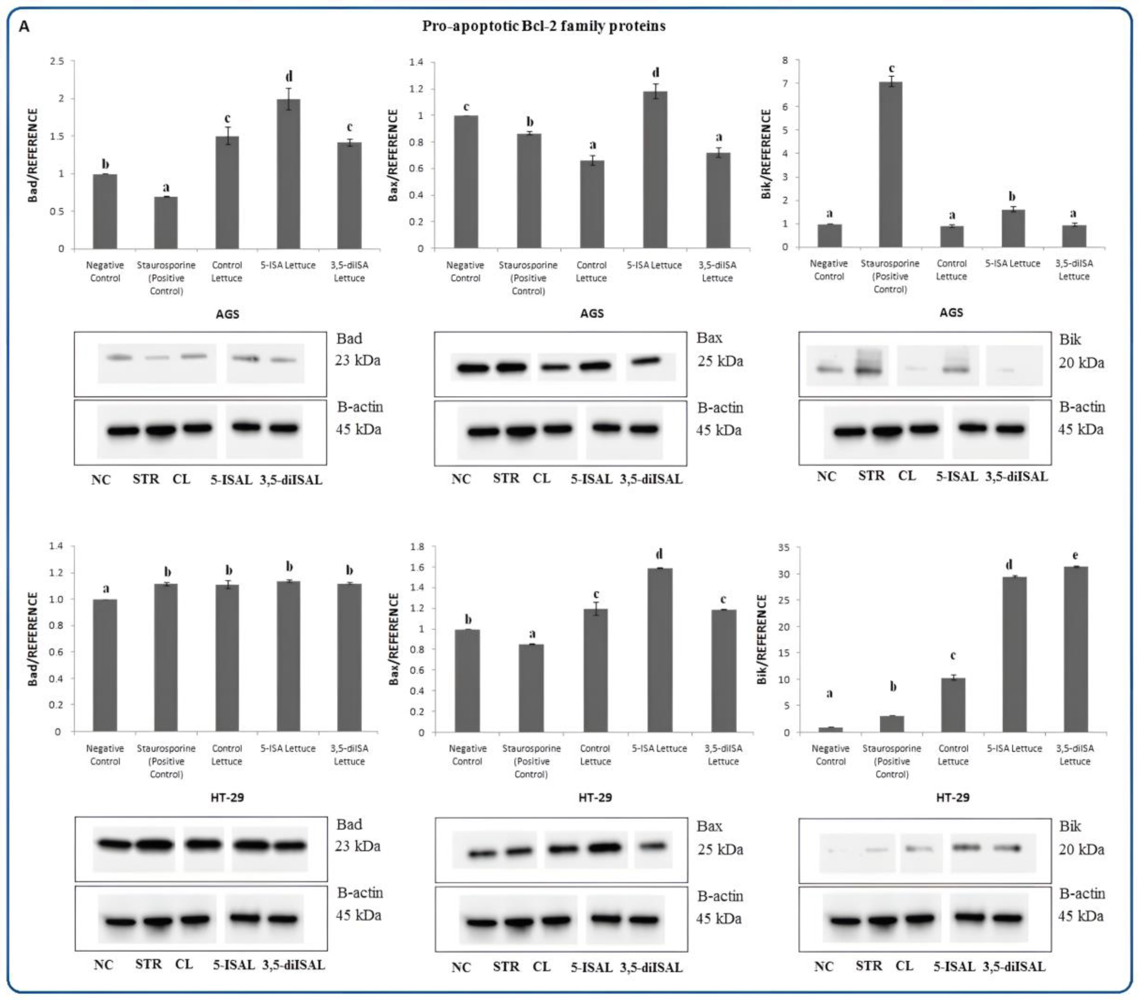 Ijms 24 09869 g006a Ijms 24 09869 g006a