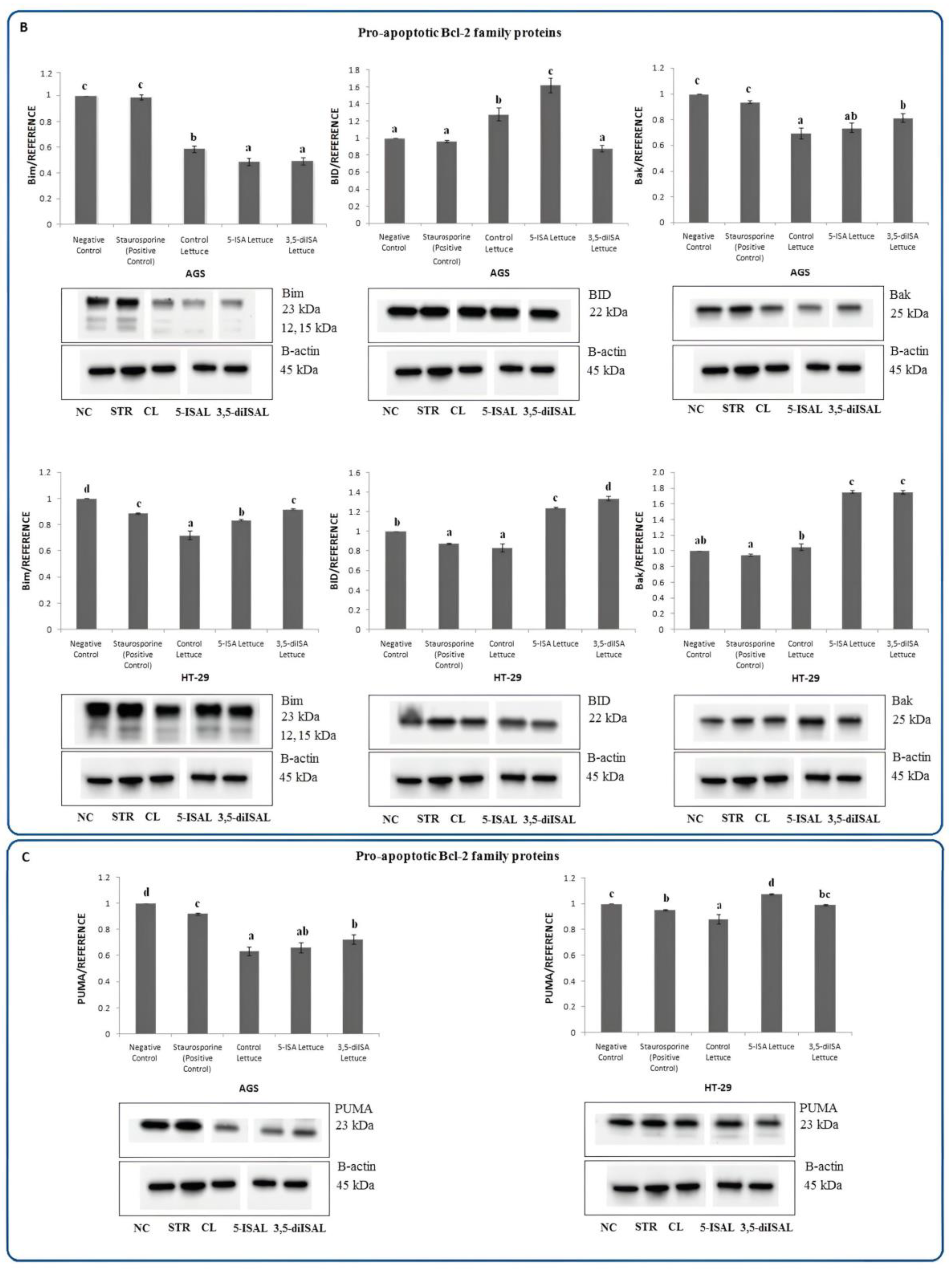 Ijms 24 09869 g006b Ijms 24 09869 g006b