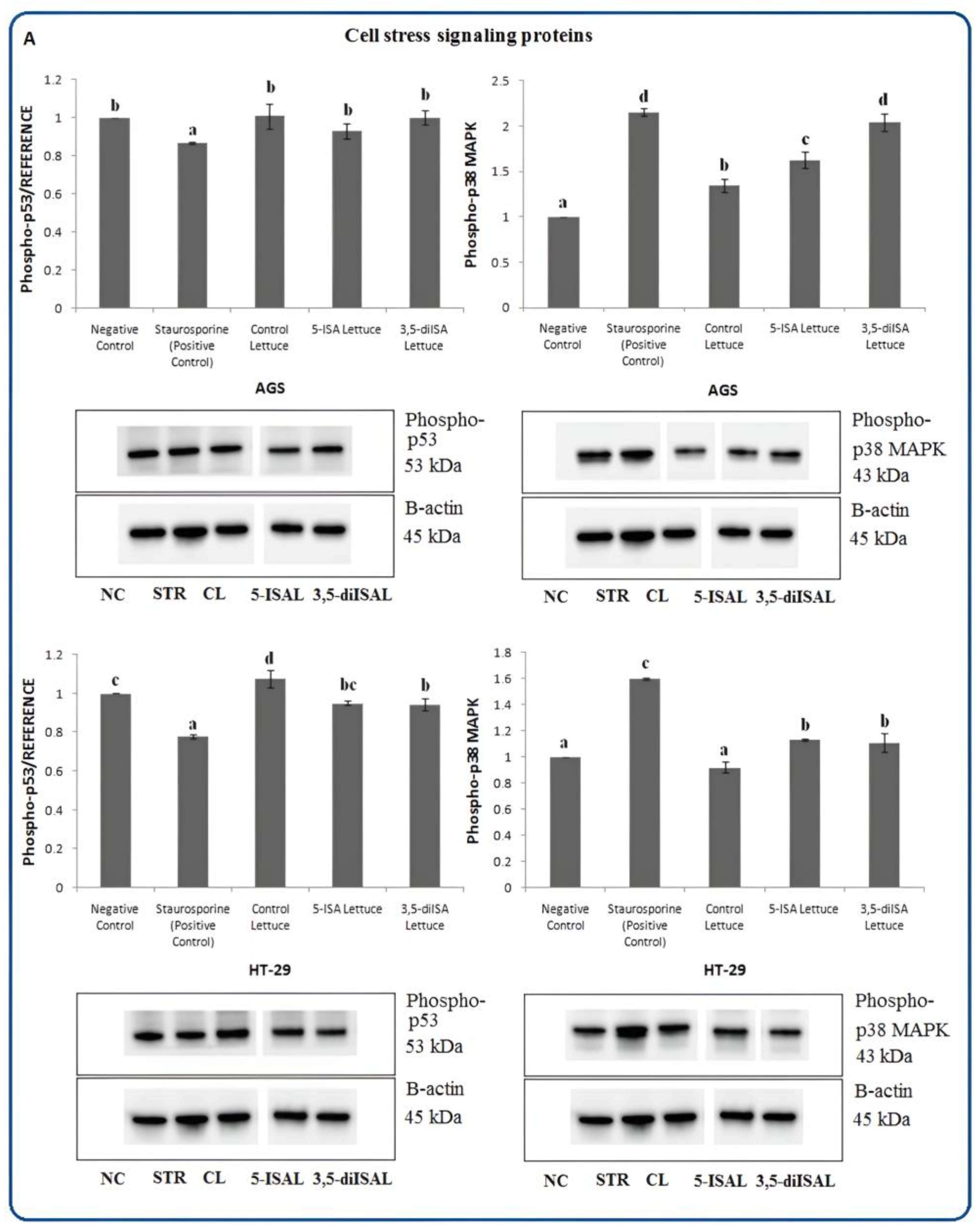 Ijms 24 09869 g007a Ijms 24 09869 g007a