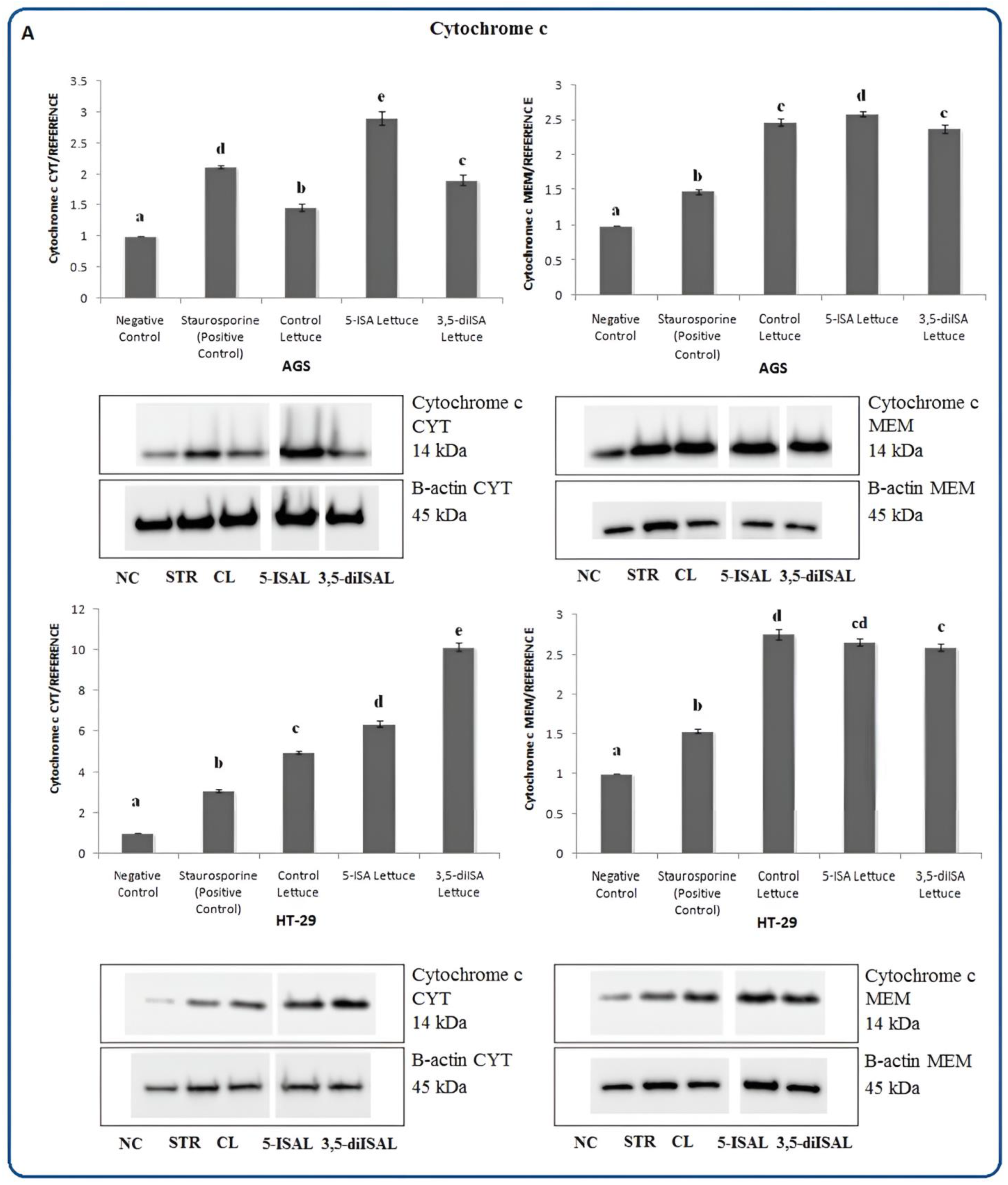 Ijms 24 09869 g008a Ijms 24 09869 g008a