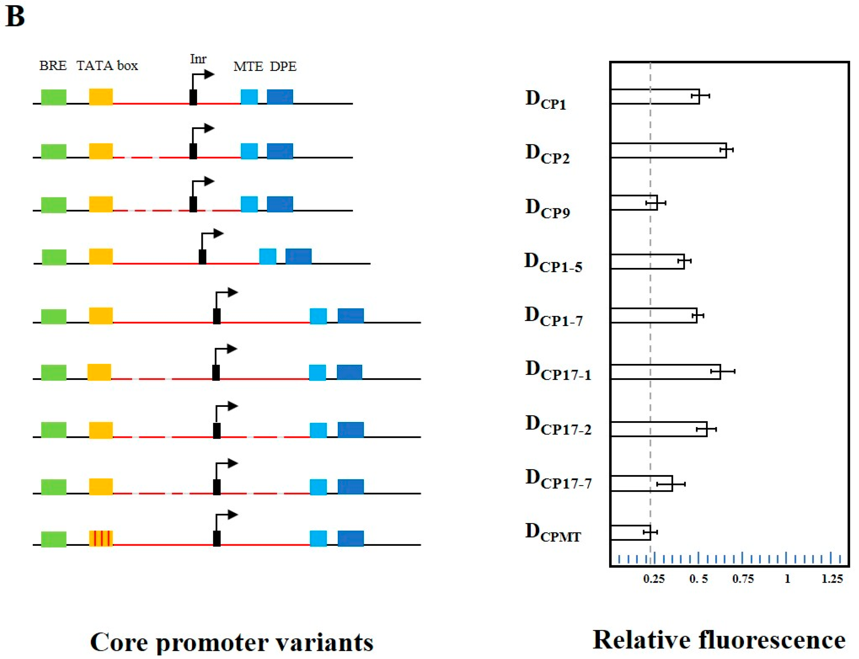 Ijms 24 09870 g002b Ijms 24 09870 g002b