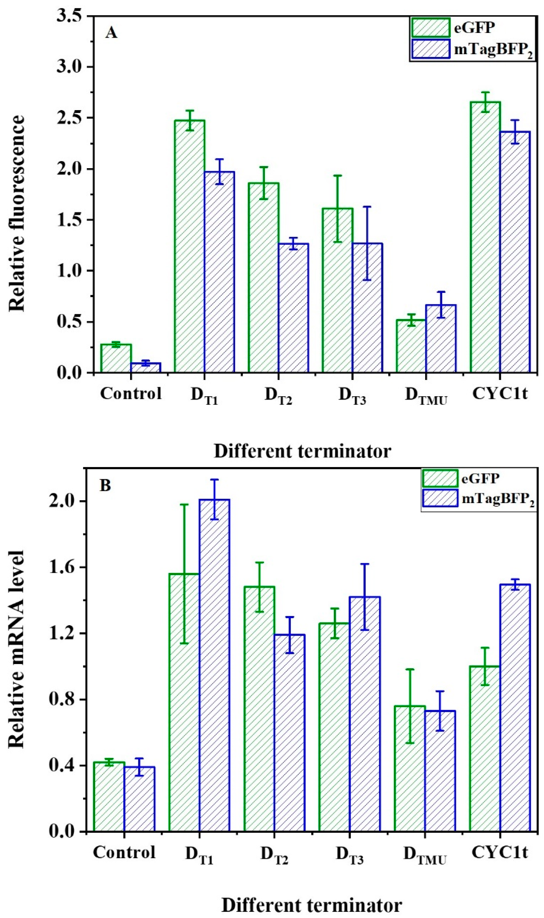 Ijms 24 09870 g004 Ijms 24 09870 g004