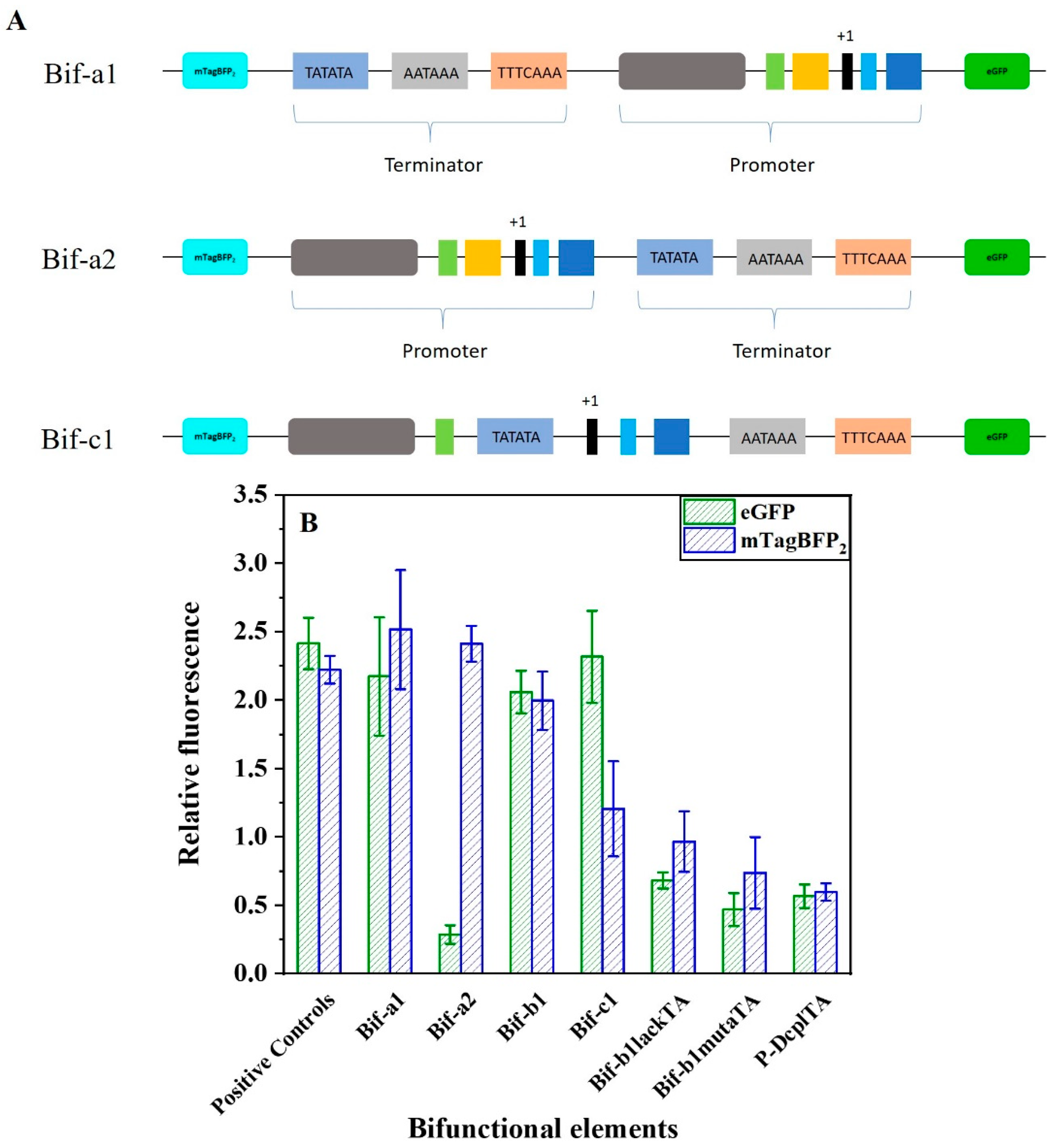 Ijms 24 09870 g005 Ijms 24 09870 g005