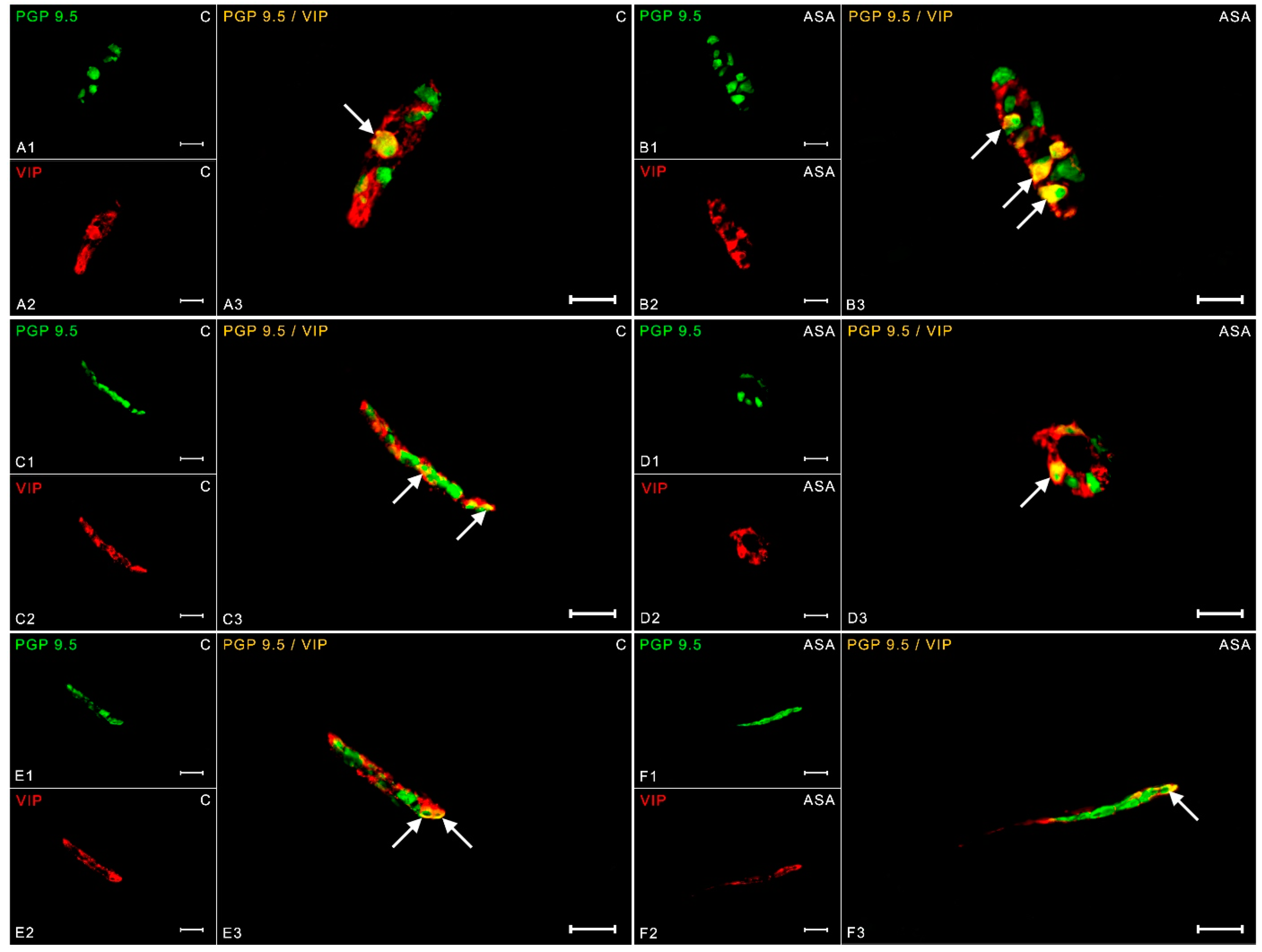 Ijms 24 09871 g002 Ijms 24 09871 g002