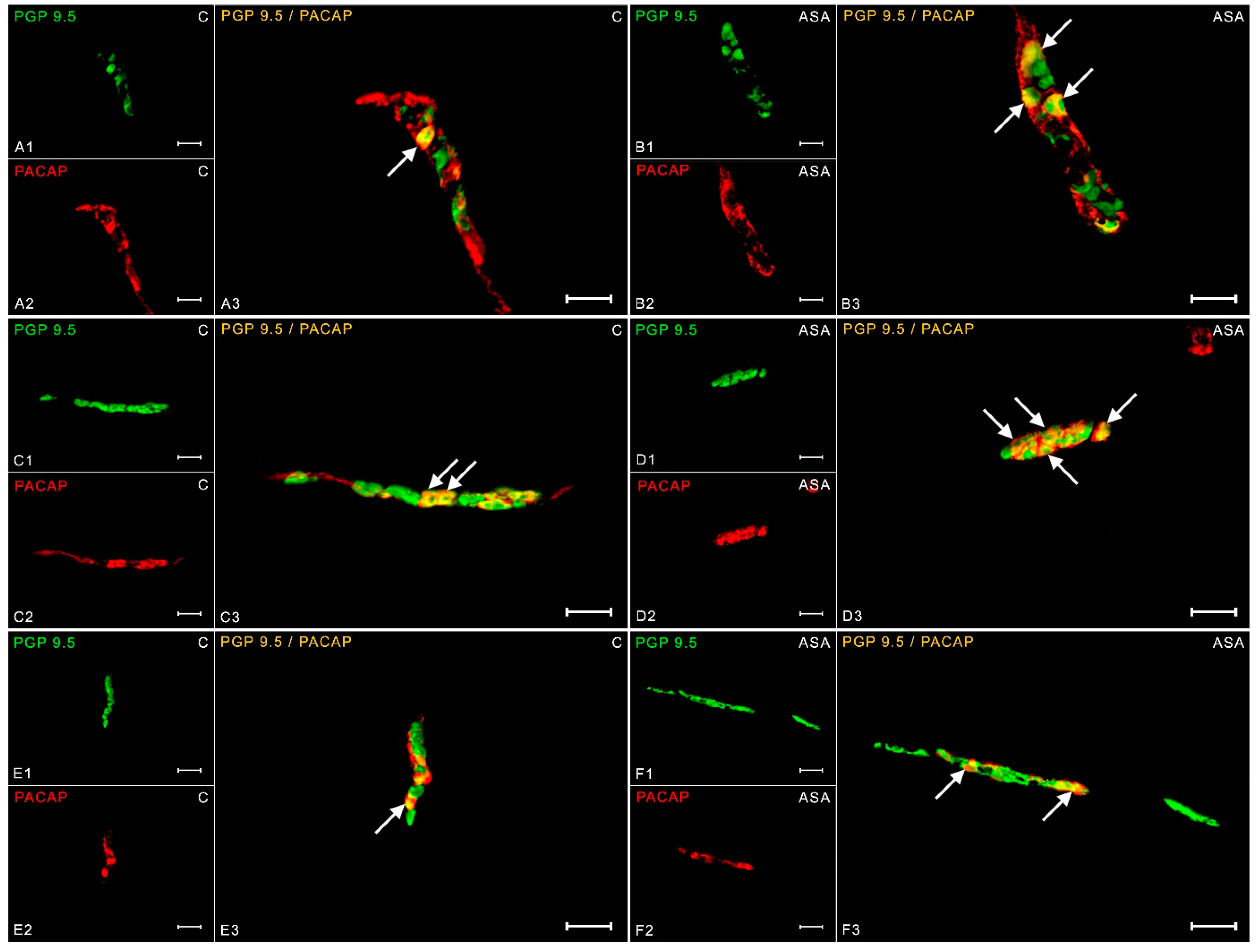 Ijms 24 09871 g007 Ijms 24 09871 g007