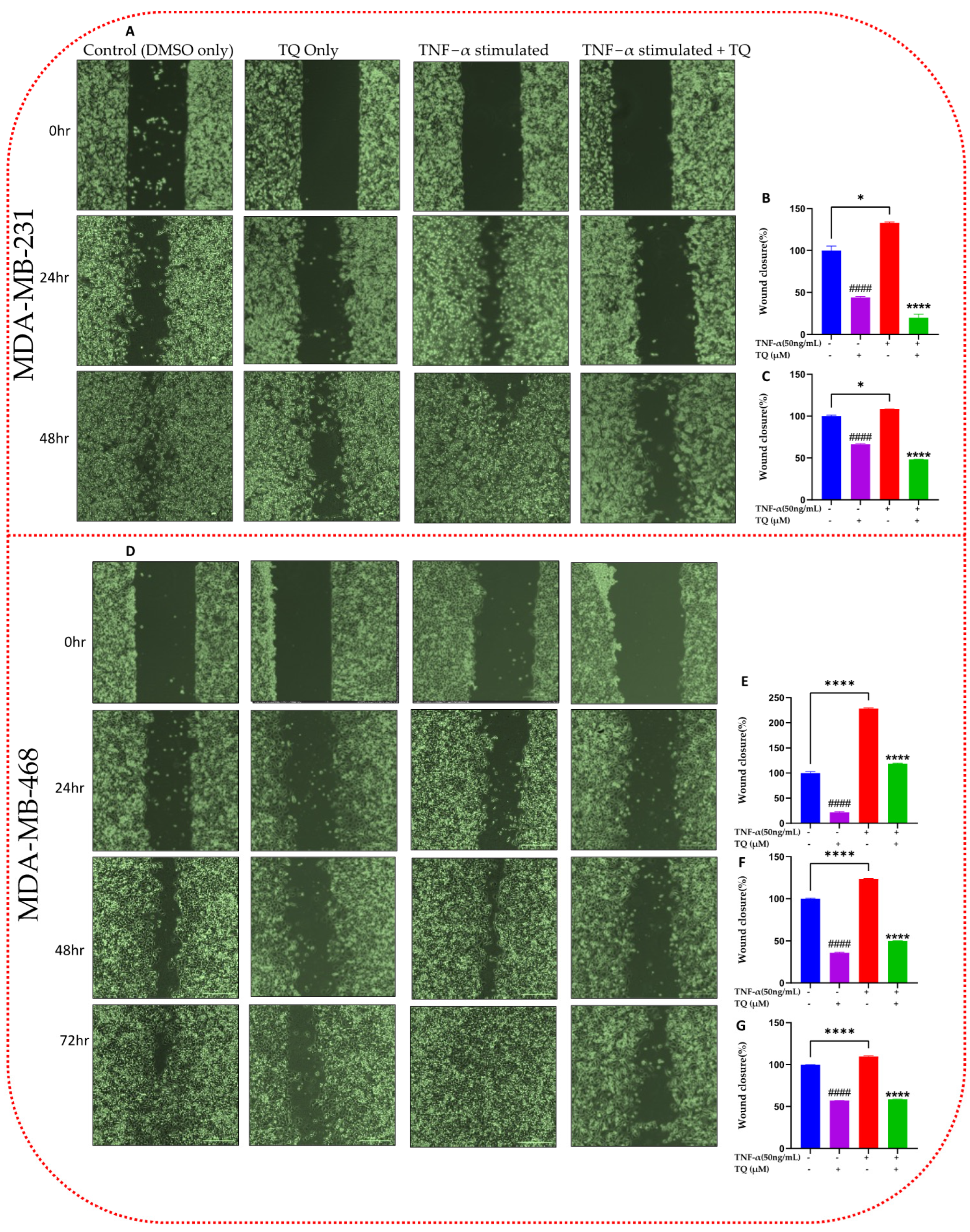 Ijms 24 09878 g004 Ijms 24 09878 g004