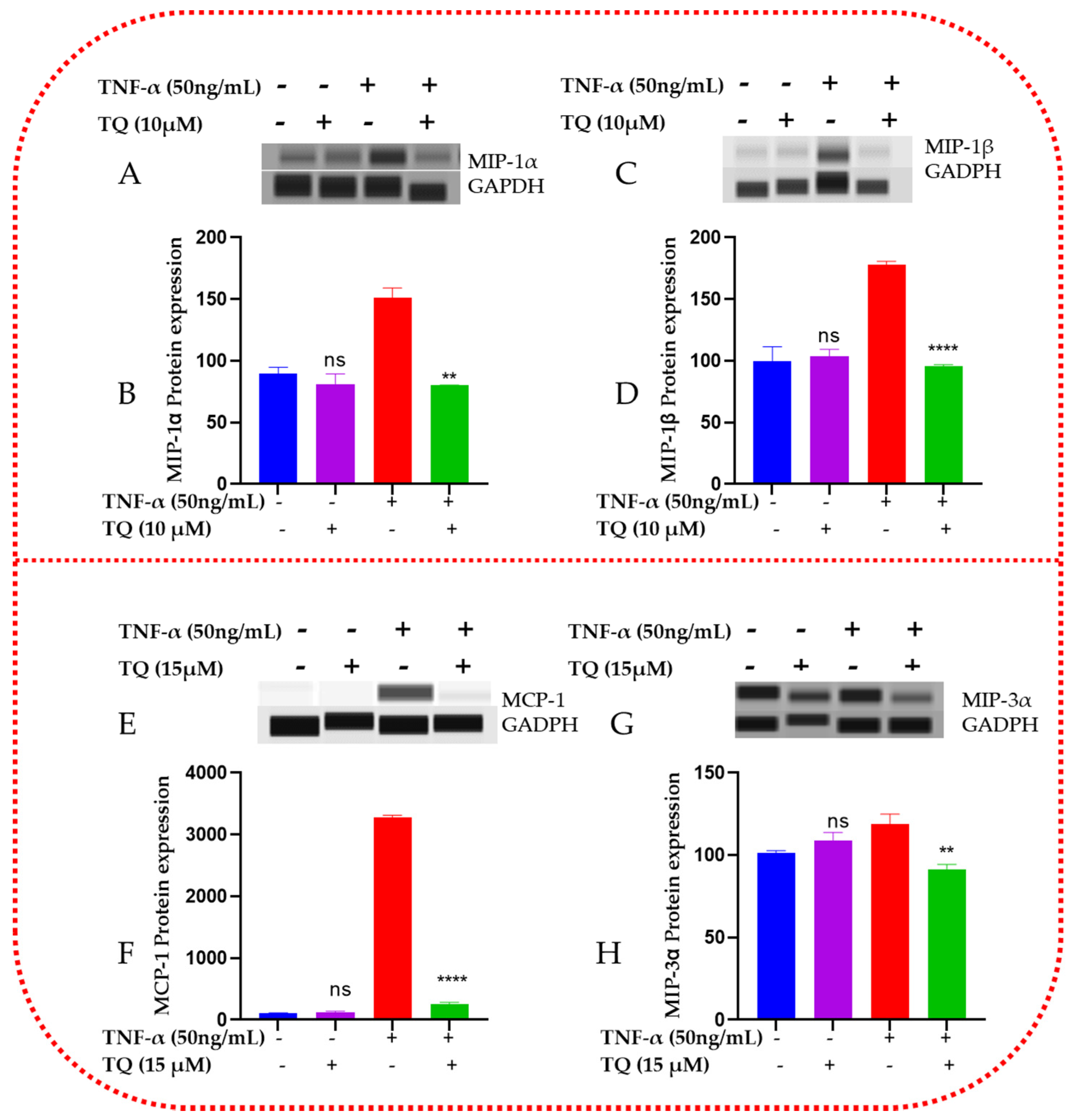 Ijms 24 09878 g008 Ijms 24 09878 g008