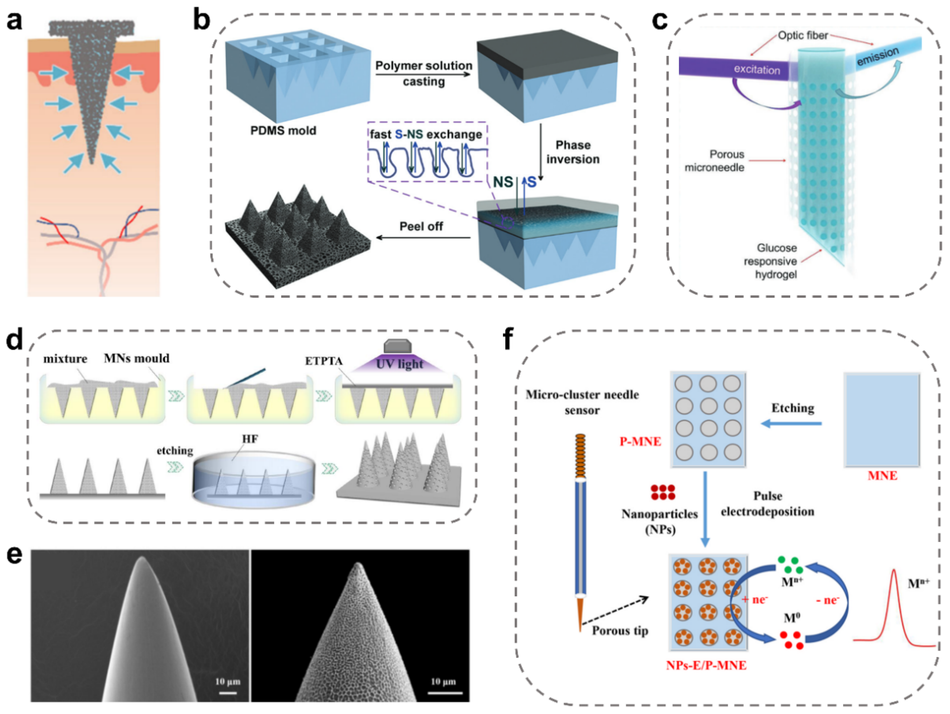 Ijms 24 09882 g004 Ijms 24 09882 g004