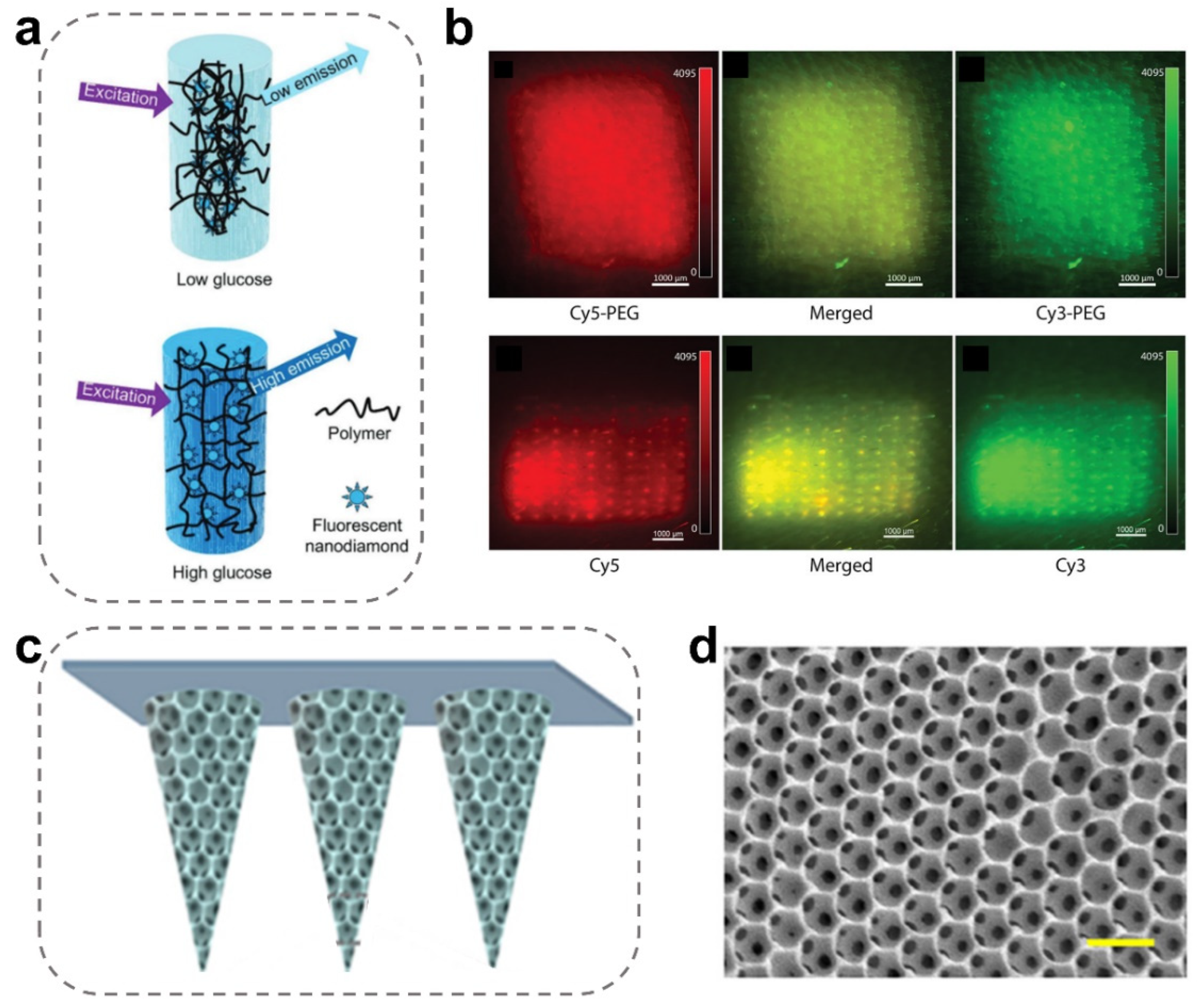 Ijms 24 09882 g007 Ijms 24 09882 g007