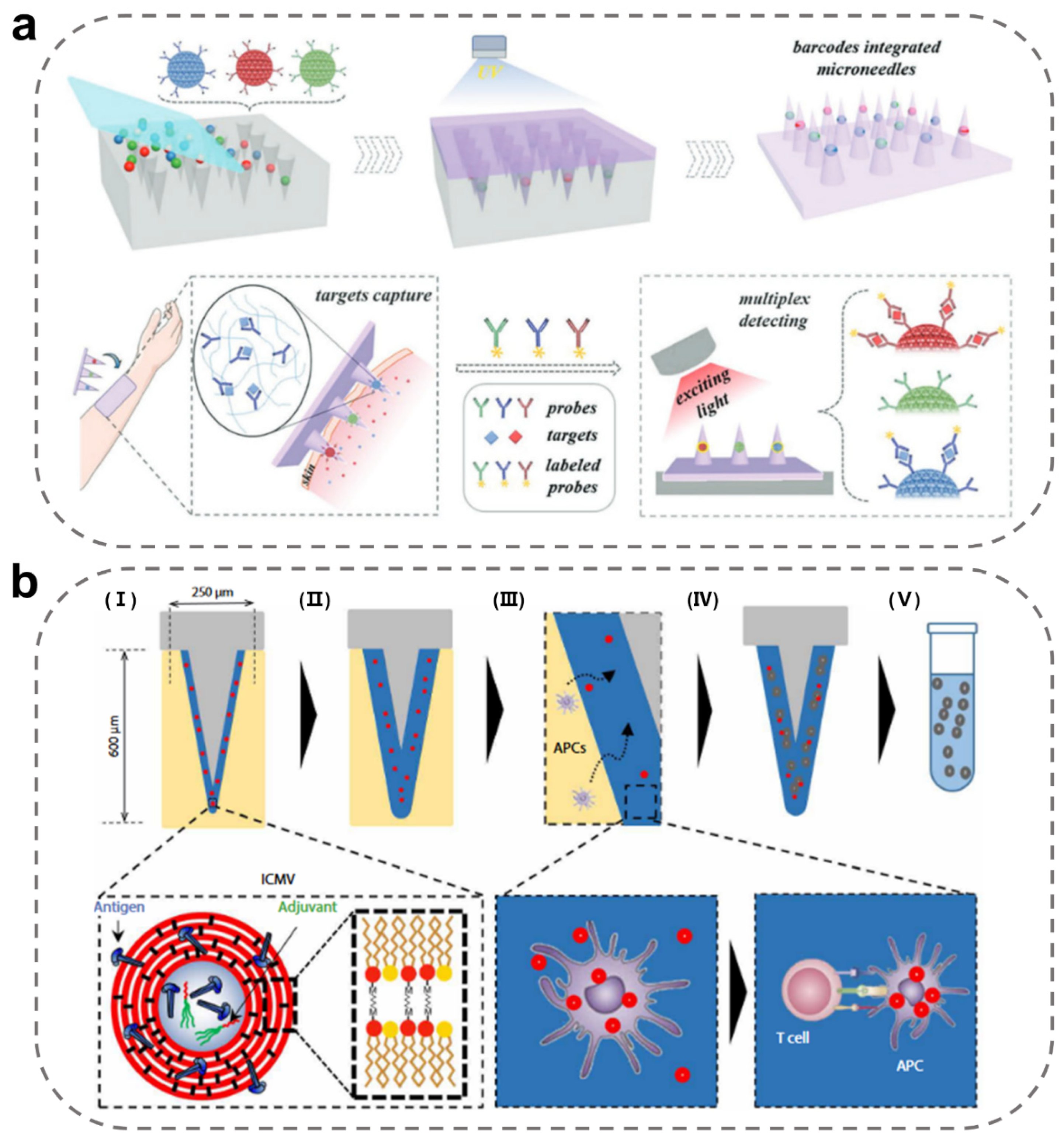 Ijms 24 09882 g009 Ijms 24 09882 g009