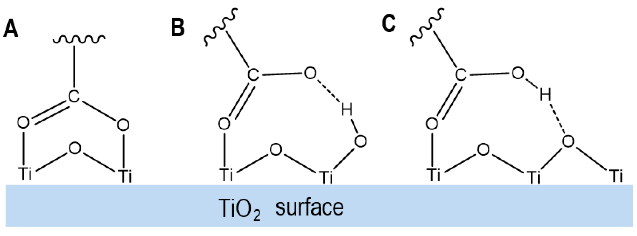 Ijms 24 09885 g007 Ijms 24 09885 g007