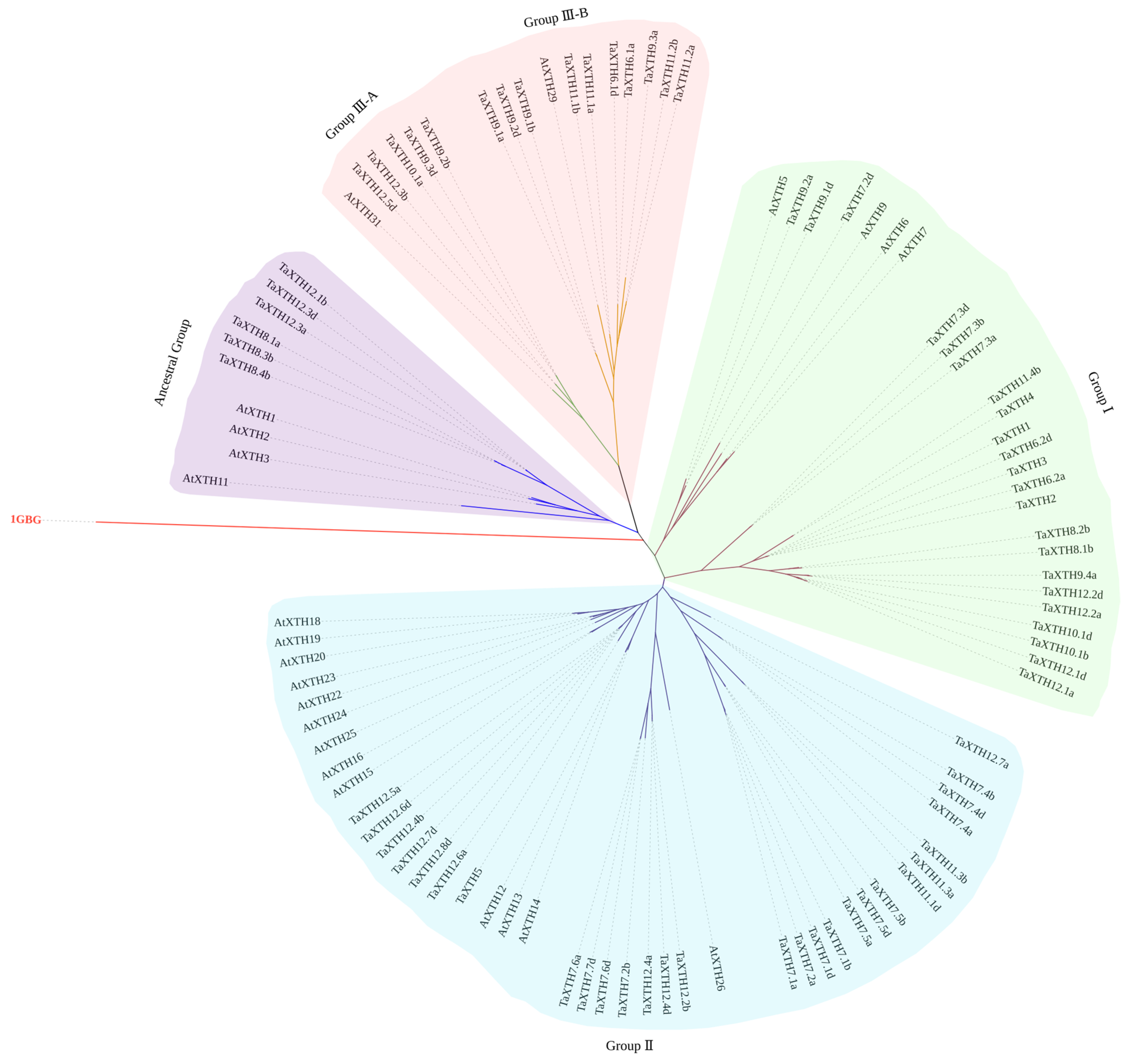 Ijms 24 09886 g001 Ijms 24 09886 g001