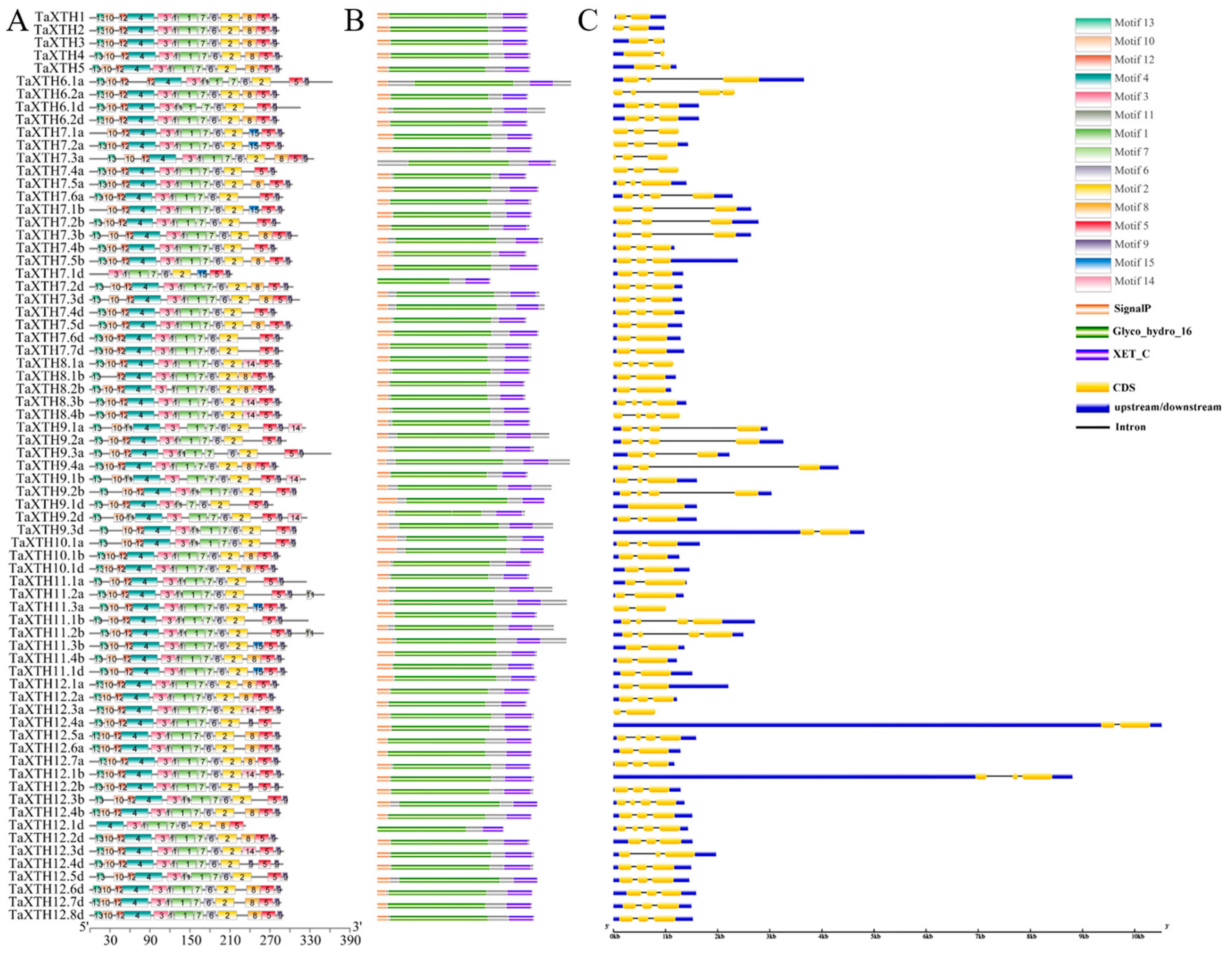 Ijms 24 09886 g003 Ijms 24 09886 g003
