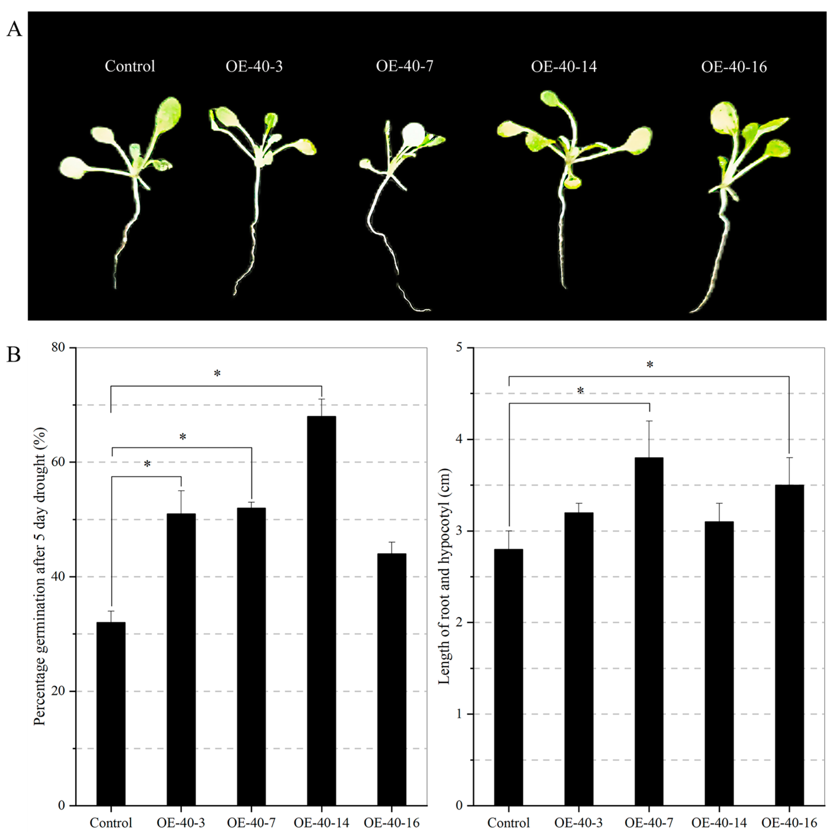 Ijms 24 09886 g007 Ijms 24 09886 g007