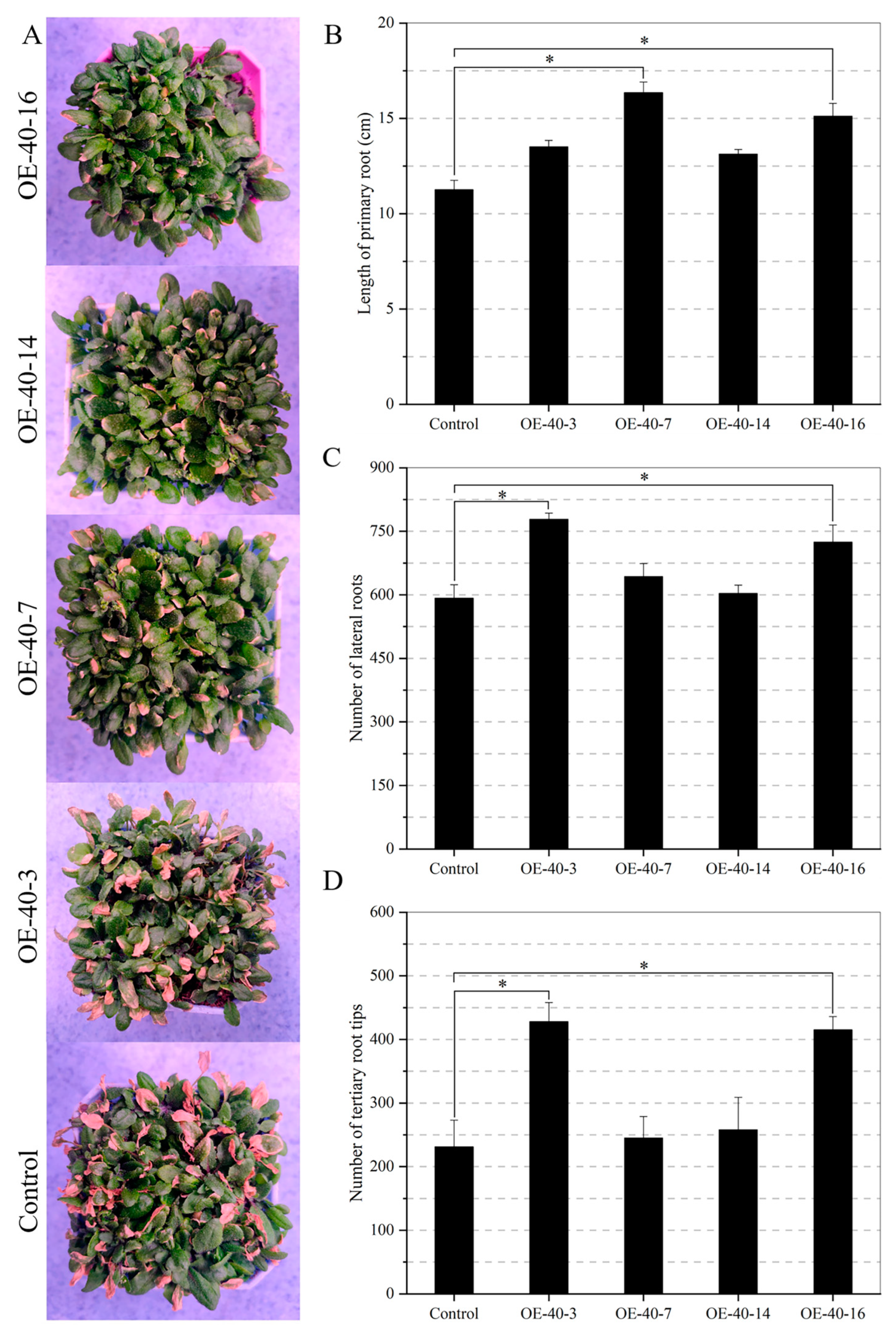 Ijms 24 09886 g008 Ijms 24 09886 g008