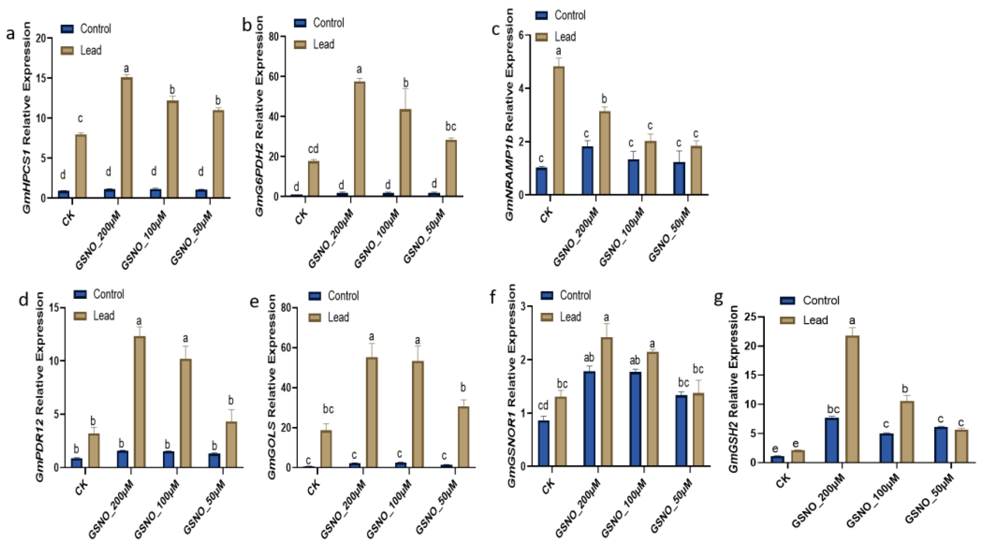 Ijms 24 09901 g004 Ijms 24 09901 g004