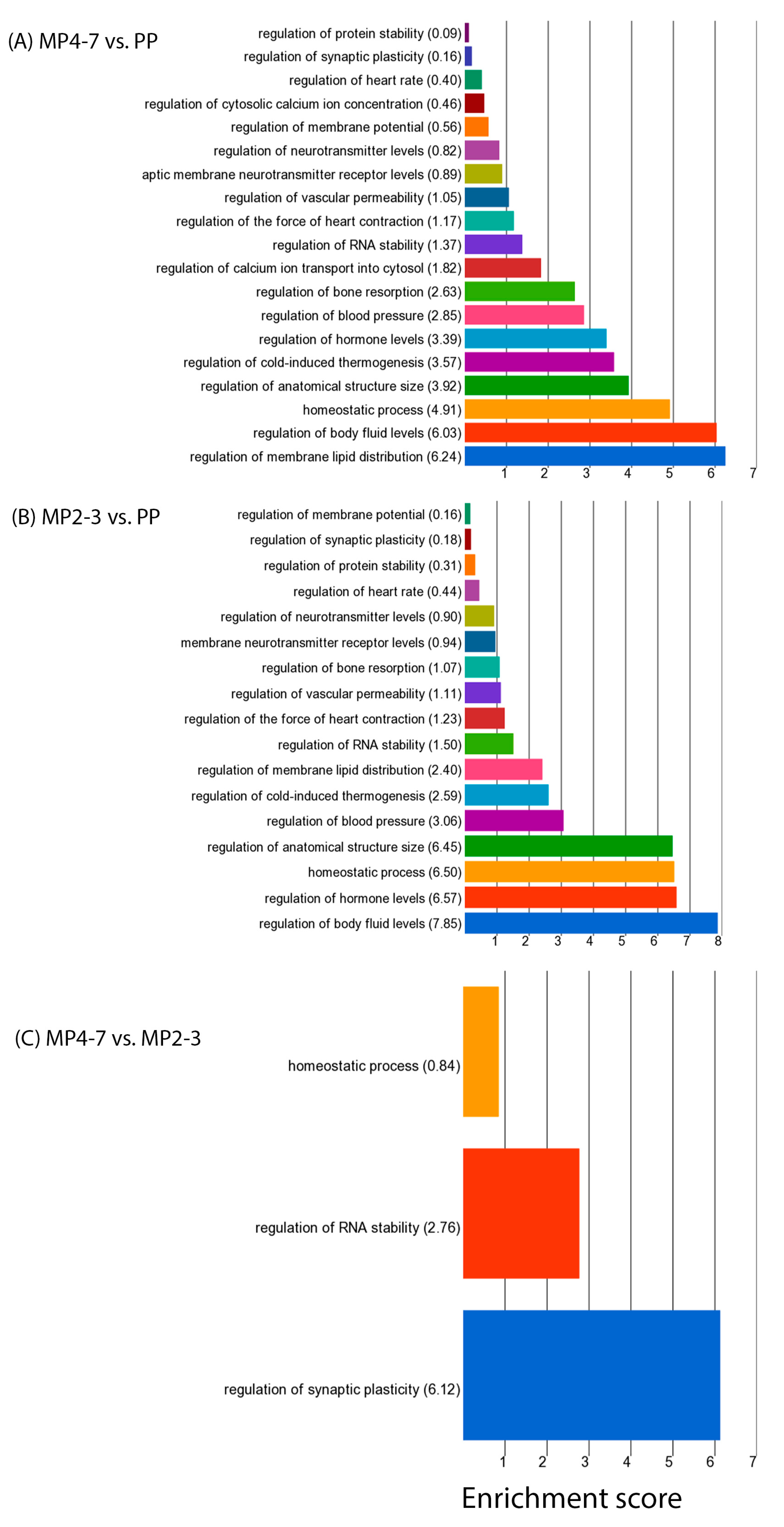 Ijms 24 09906 g004 Ijms 24 09906 g004