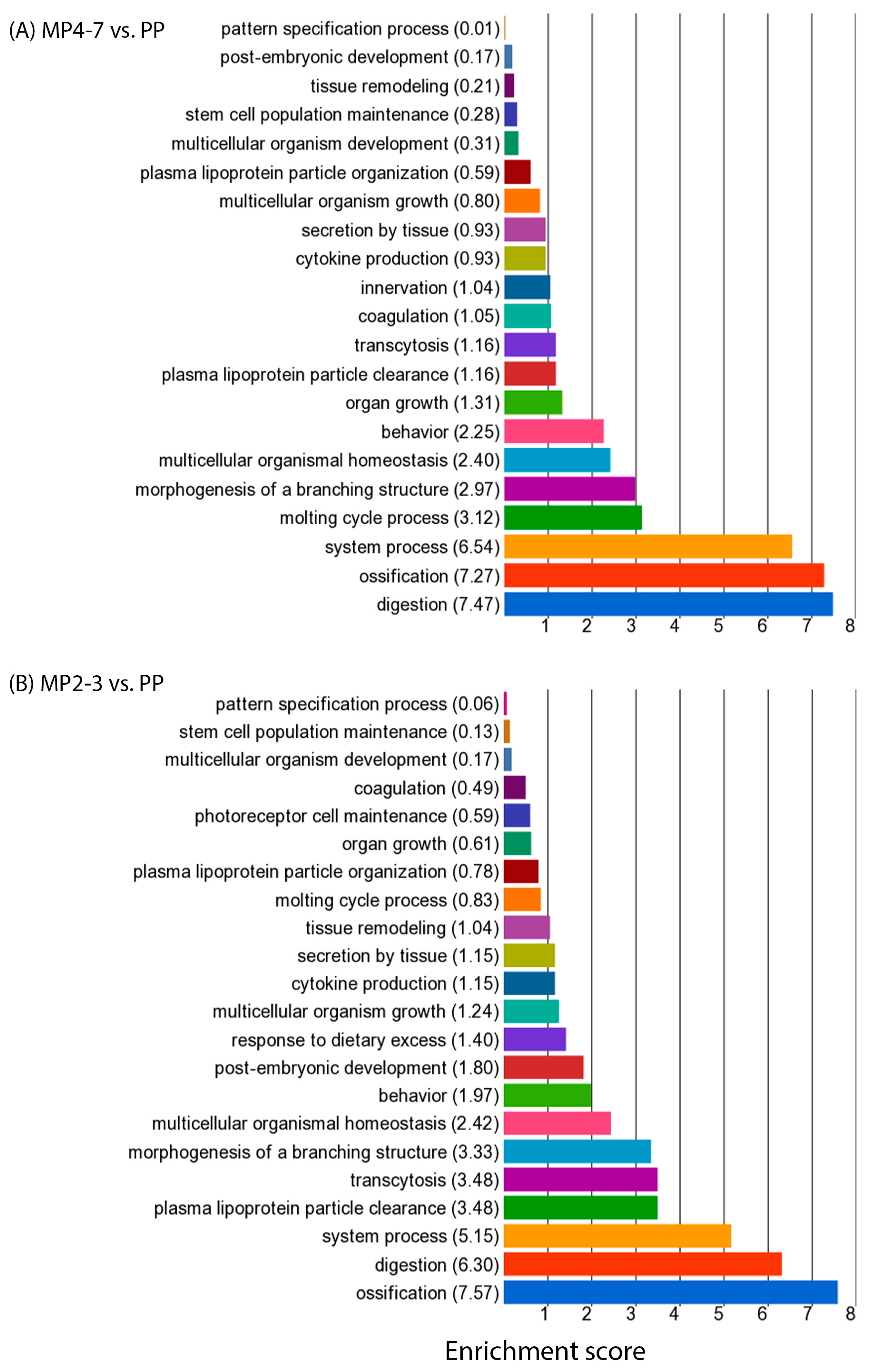 Ijms 24 09906 g005 Ijms 24 09906 g005