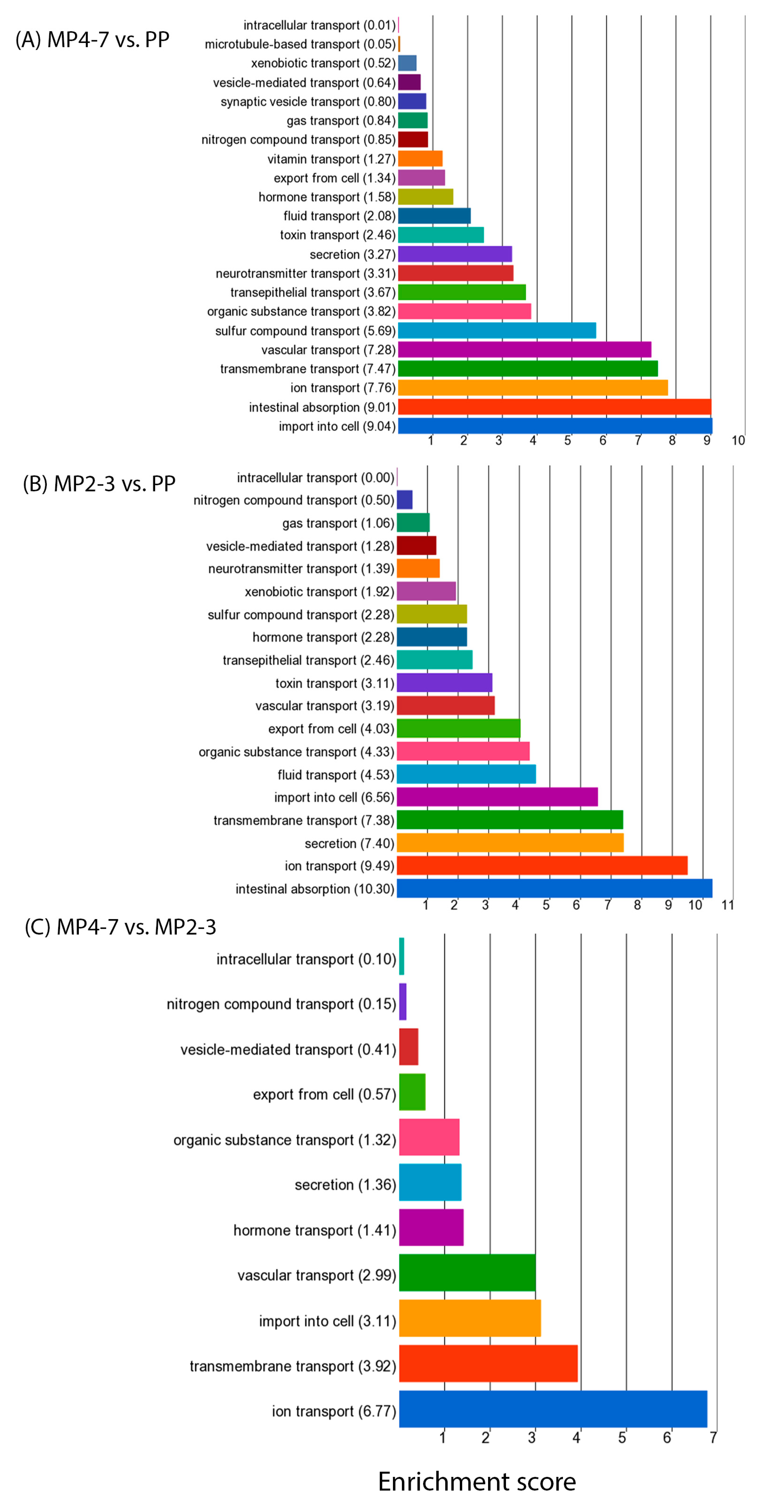 Ijms 24 09906 g006 Ijms 24 09906 g006