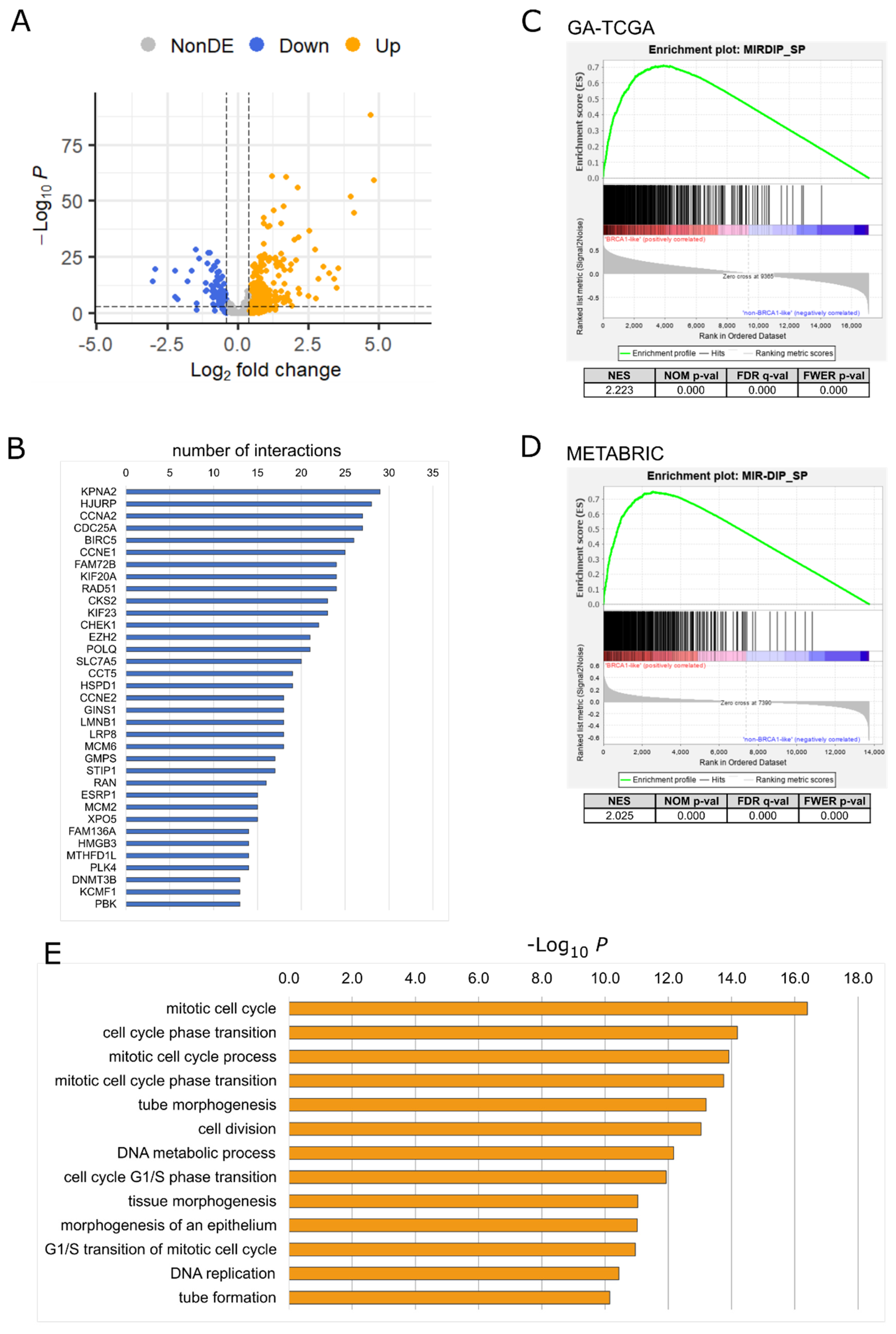 Ijms 24 09916 g001 Ijms 24 09916 g001