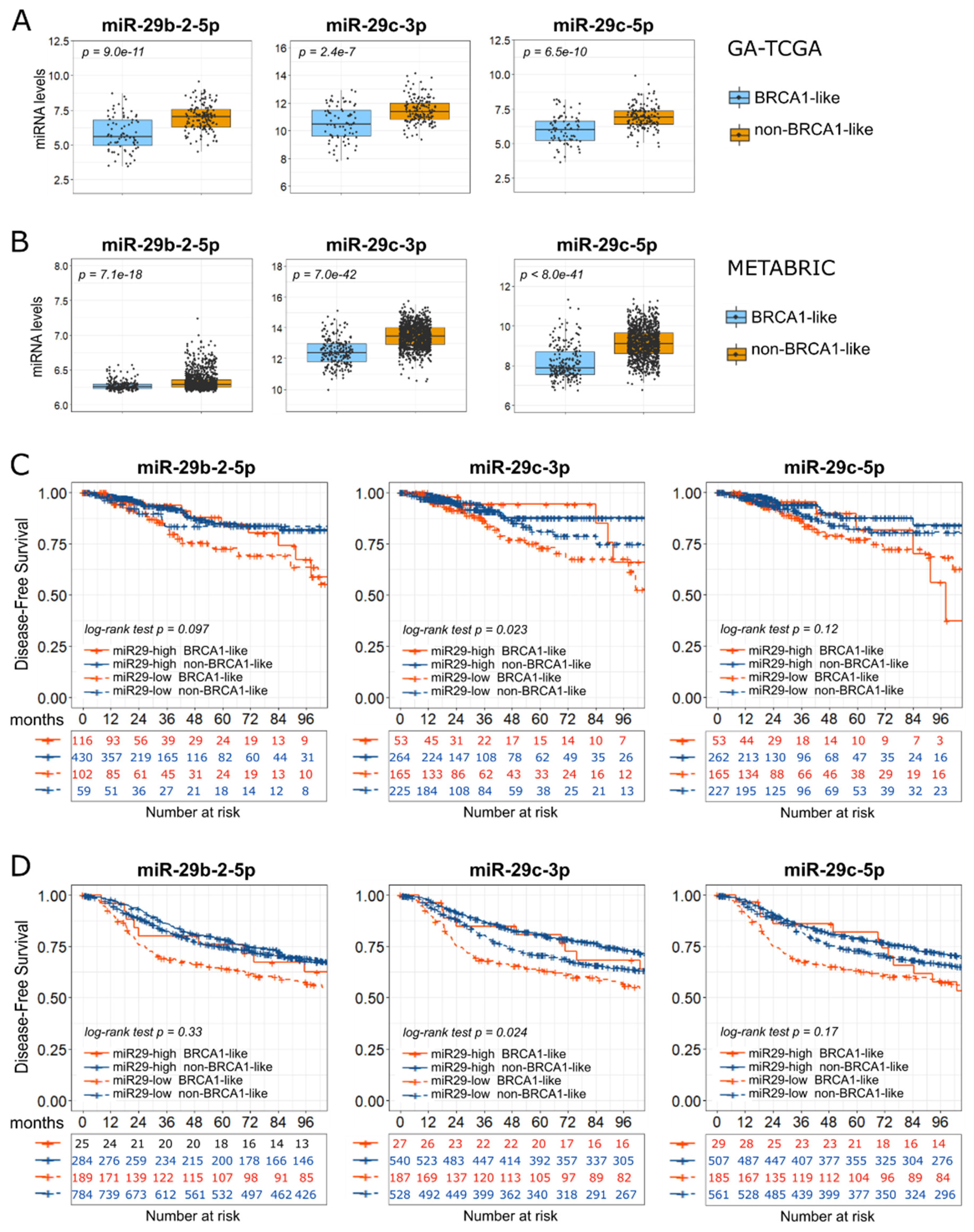 Ijms 24 09916 g003 Ijms 24 09916 g003