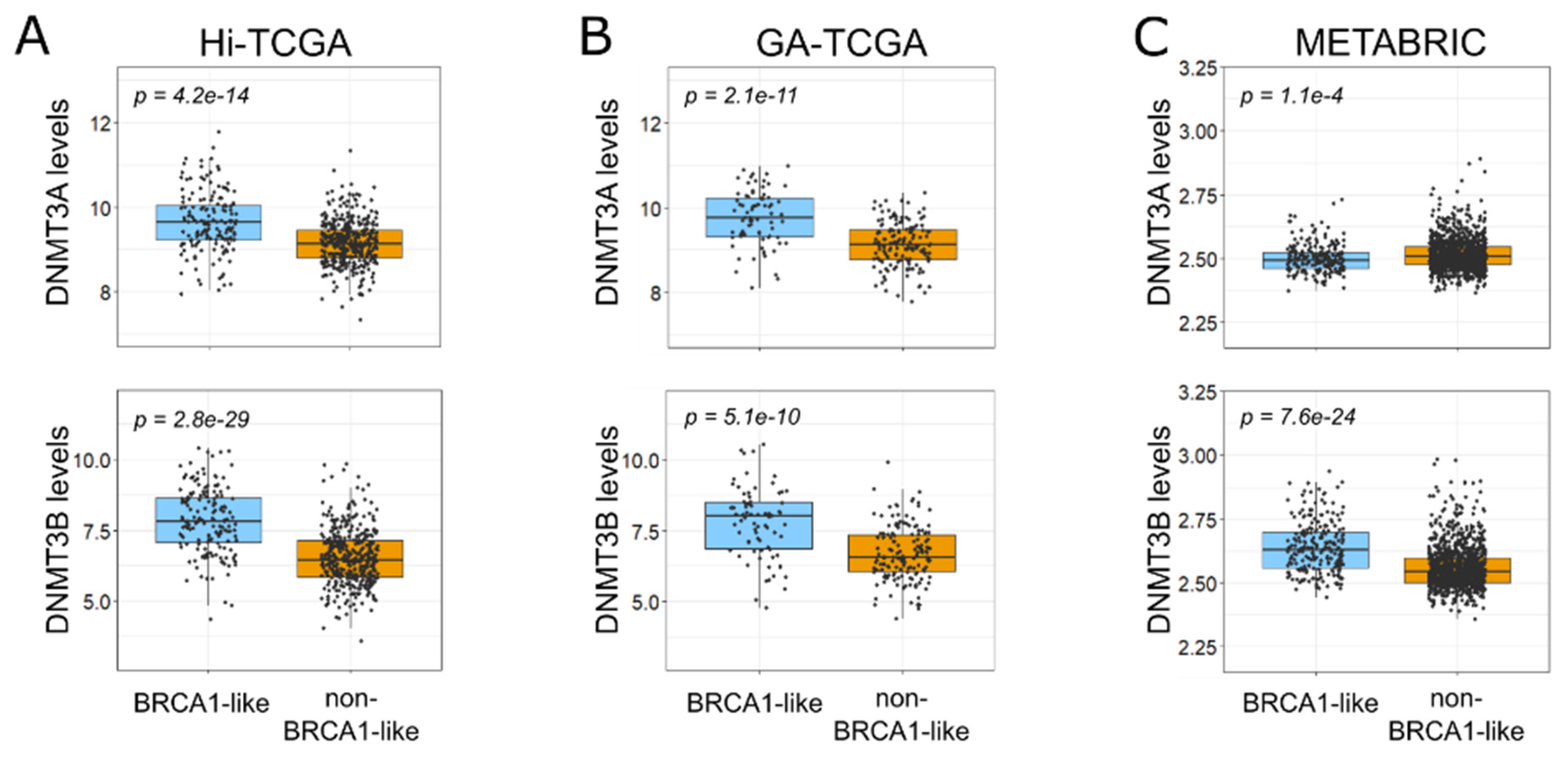 Ijms 24 09916 g004 Ijms 24 09916 g004
