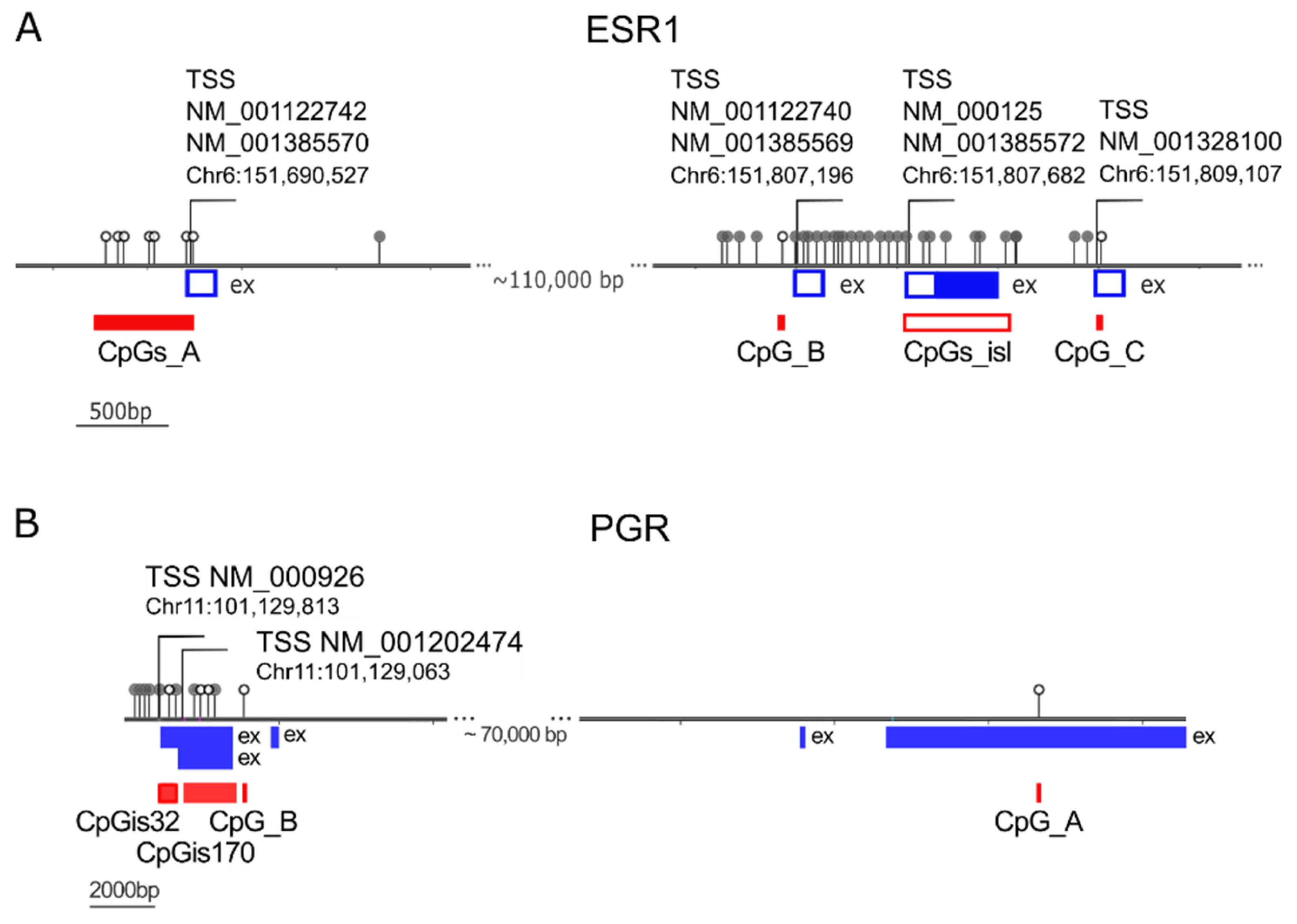 Ijms 24 09916 g006 Ijms 24 09916 g006