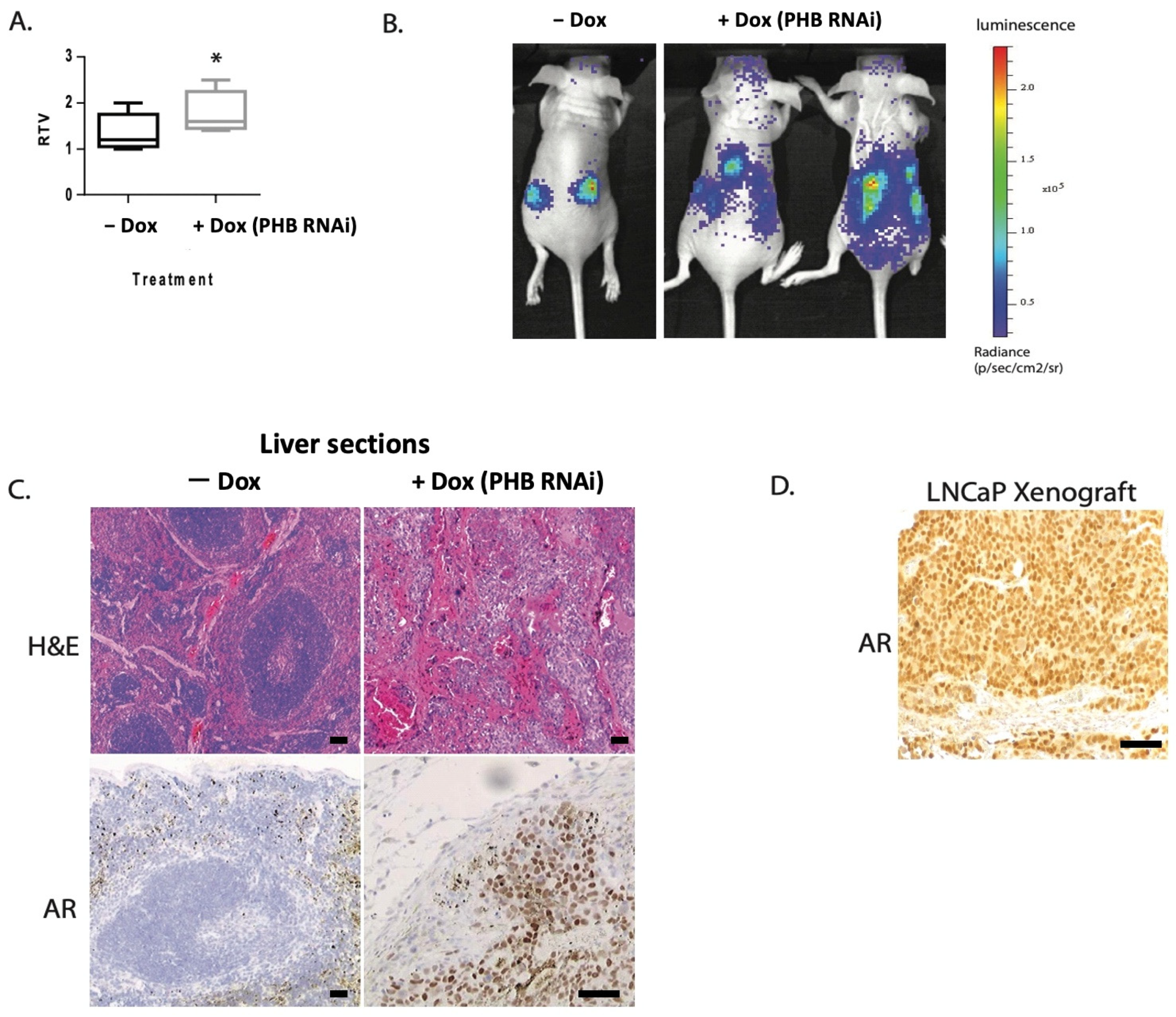 Ijms 24 09919 g001 Ijms 24 09919 g001