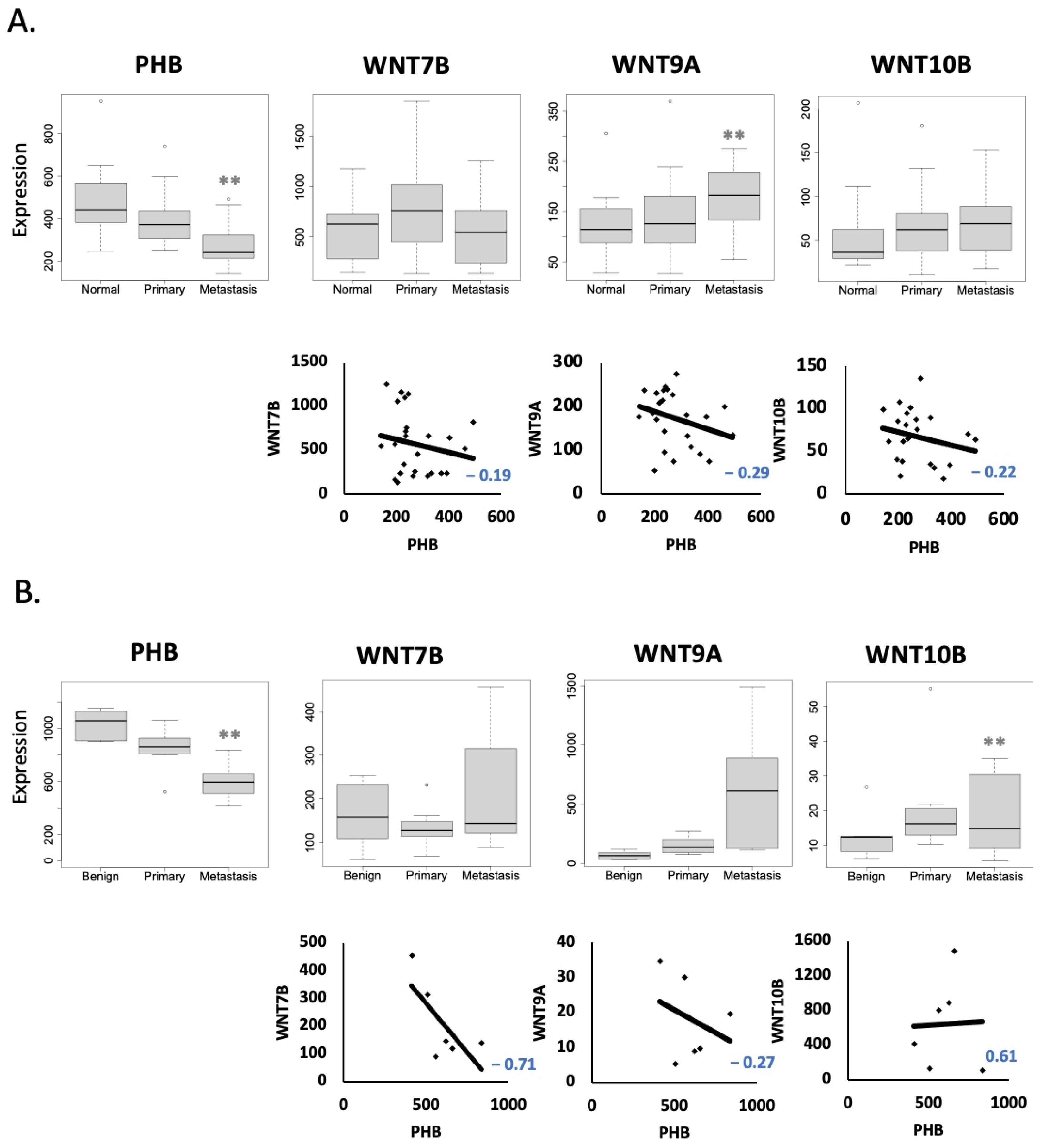 Ijms 24 09919 g002 Ijms 24 09919 g002