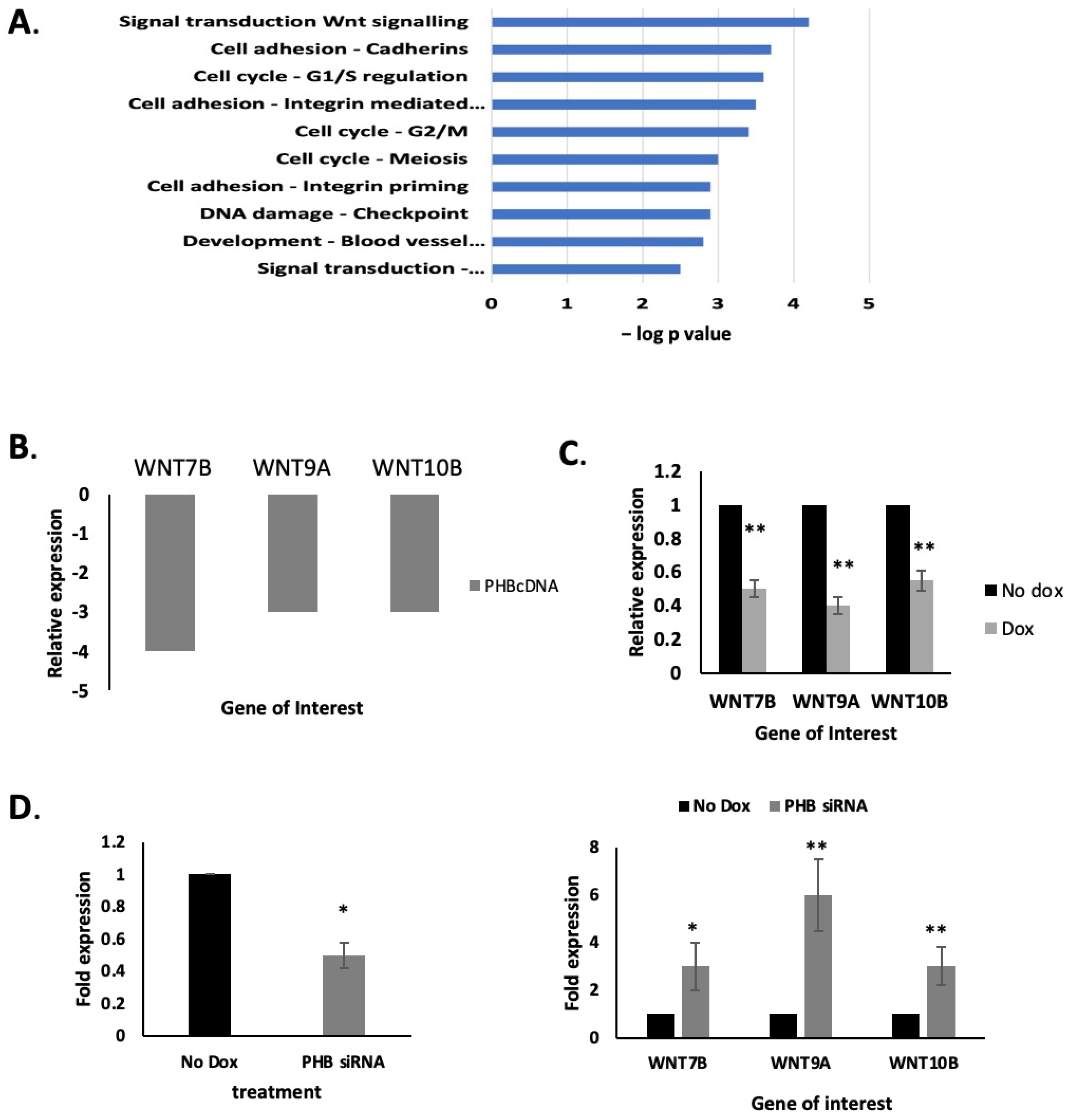 Ijms 24 09919 g003 Ijms 24 09919 g003